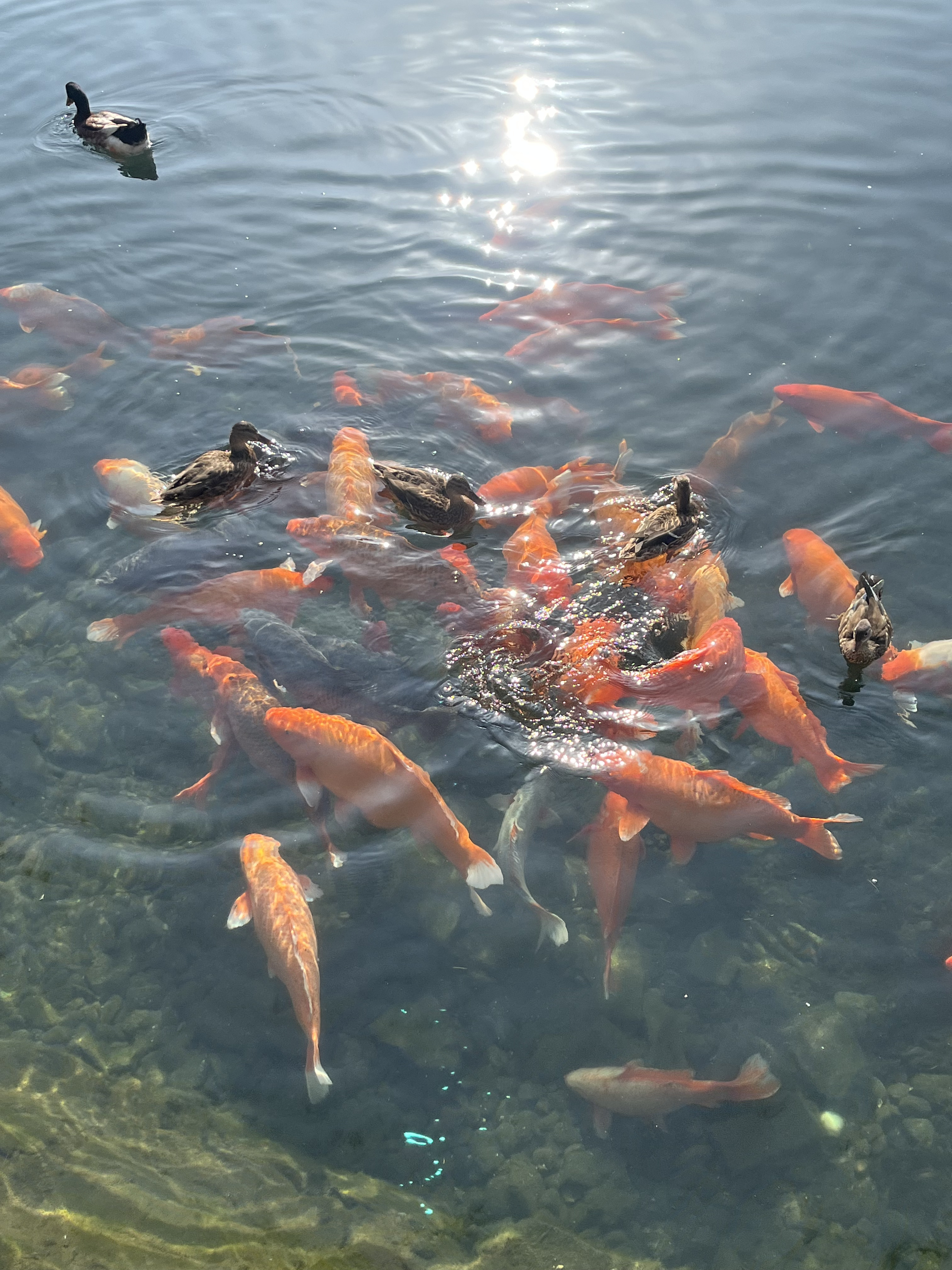 Восемь тайн Китая (4/45)