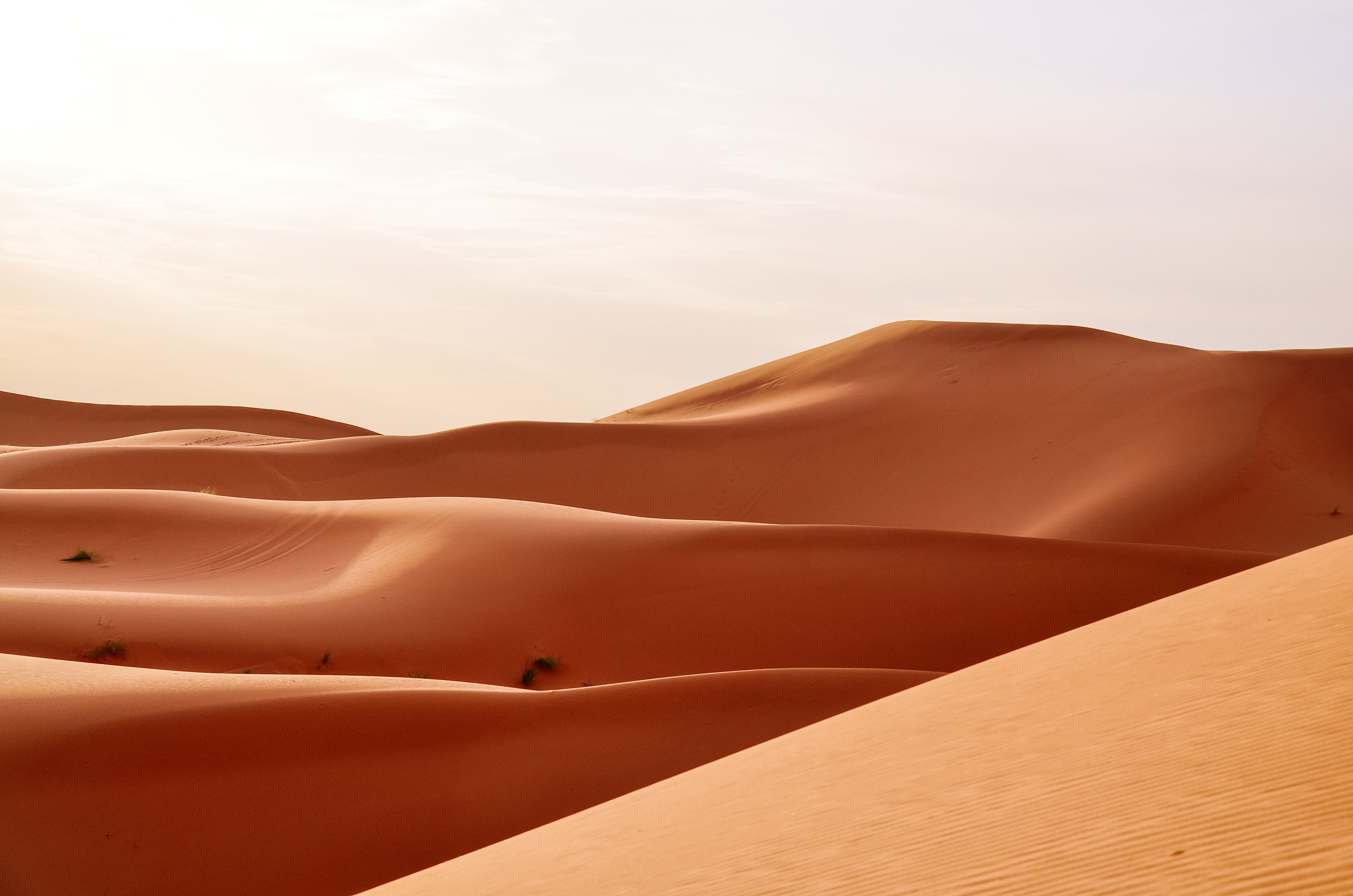 Новый год в Марокко: голубой город, океан и пустыня Сахара (19/27)