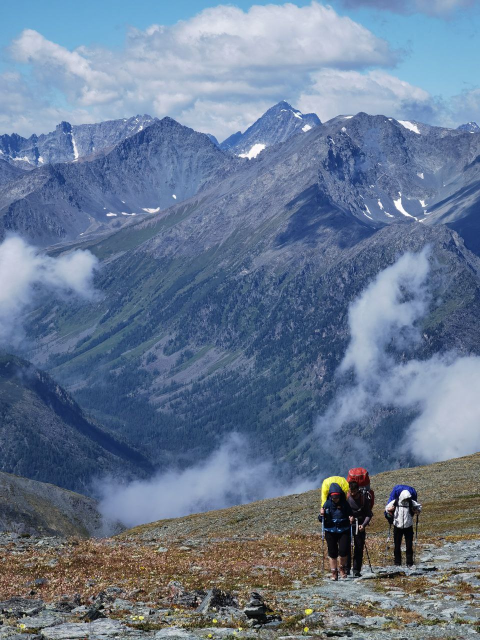 Алтай — поход к горе Белуха по Ороктойской тропе (10/24)