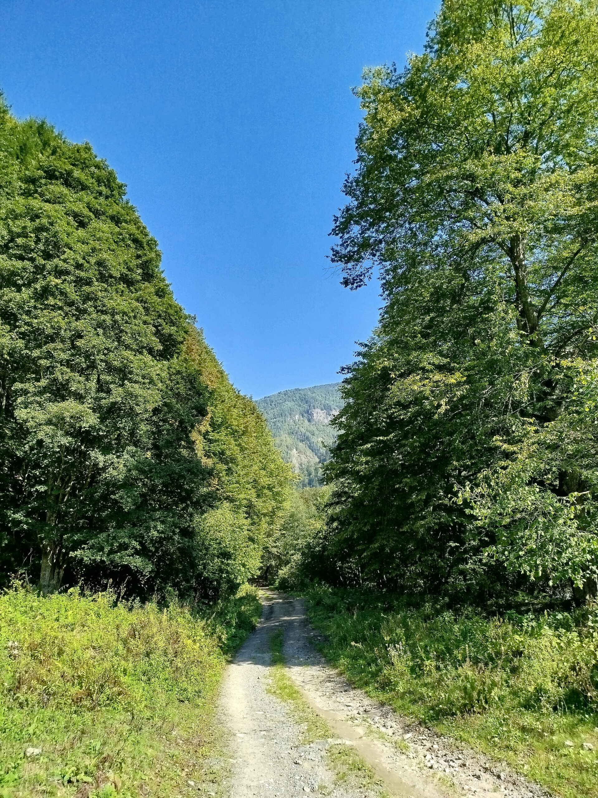 Маршрут 8 — через горы Кавказа к Чёрному морю (2/17)