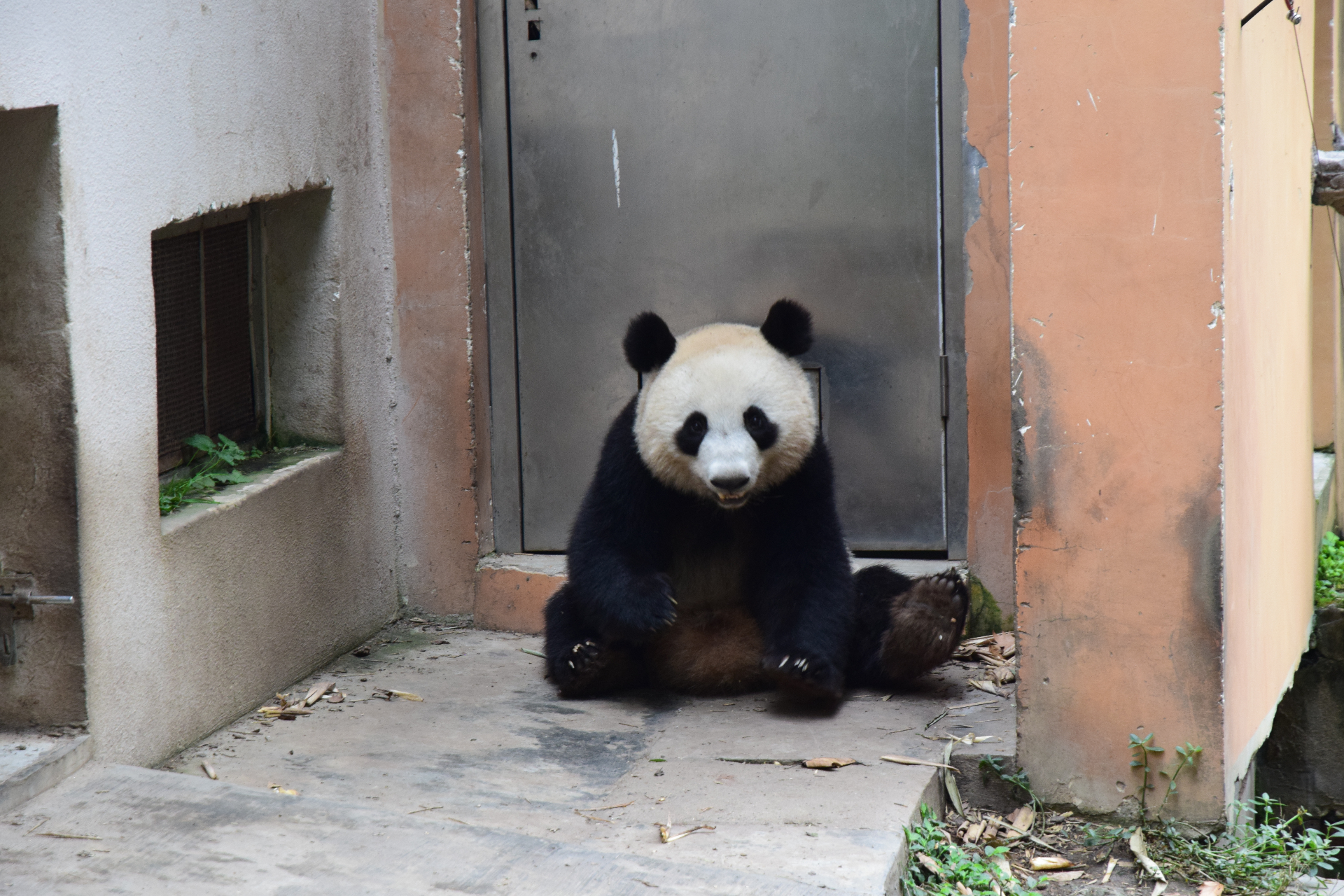 Восемь тайн Китая (12/45)