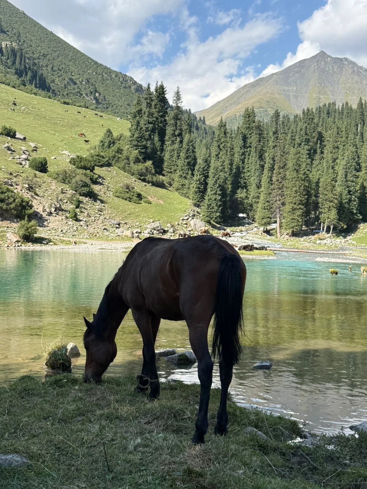 Киргизия - среди небесных гор! (12/36)