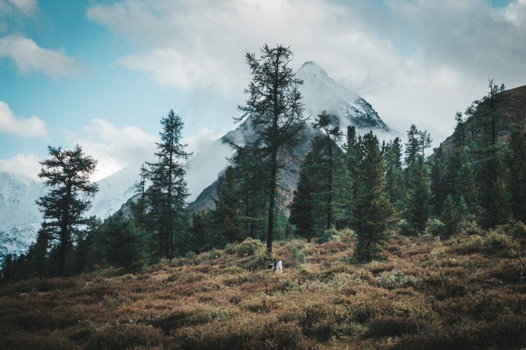 Алтай — поход к горе Белуха по Ороктойской тропе (7/24)