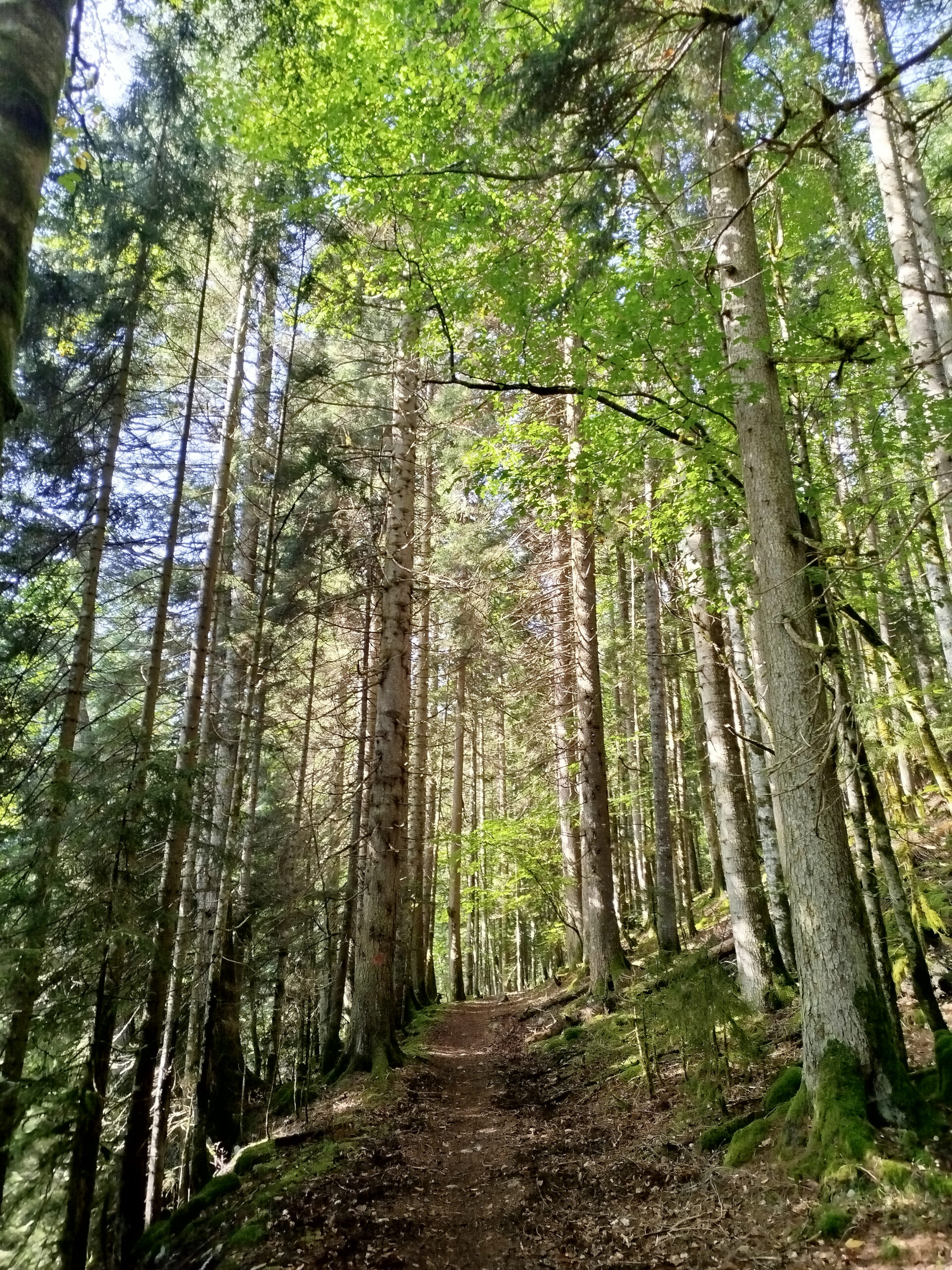 Маршрут 8 — через горы Кавказа к Чёрному морю (4/17)