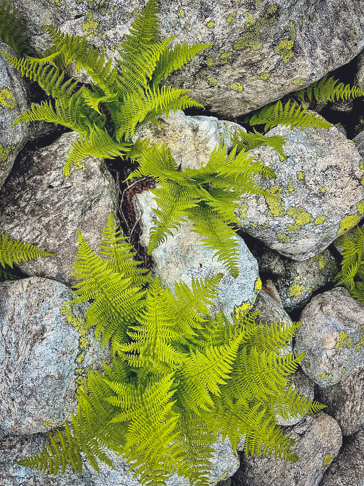 Поход на Софийские озёра — Семь озёр Архыза (15/32)