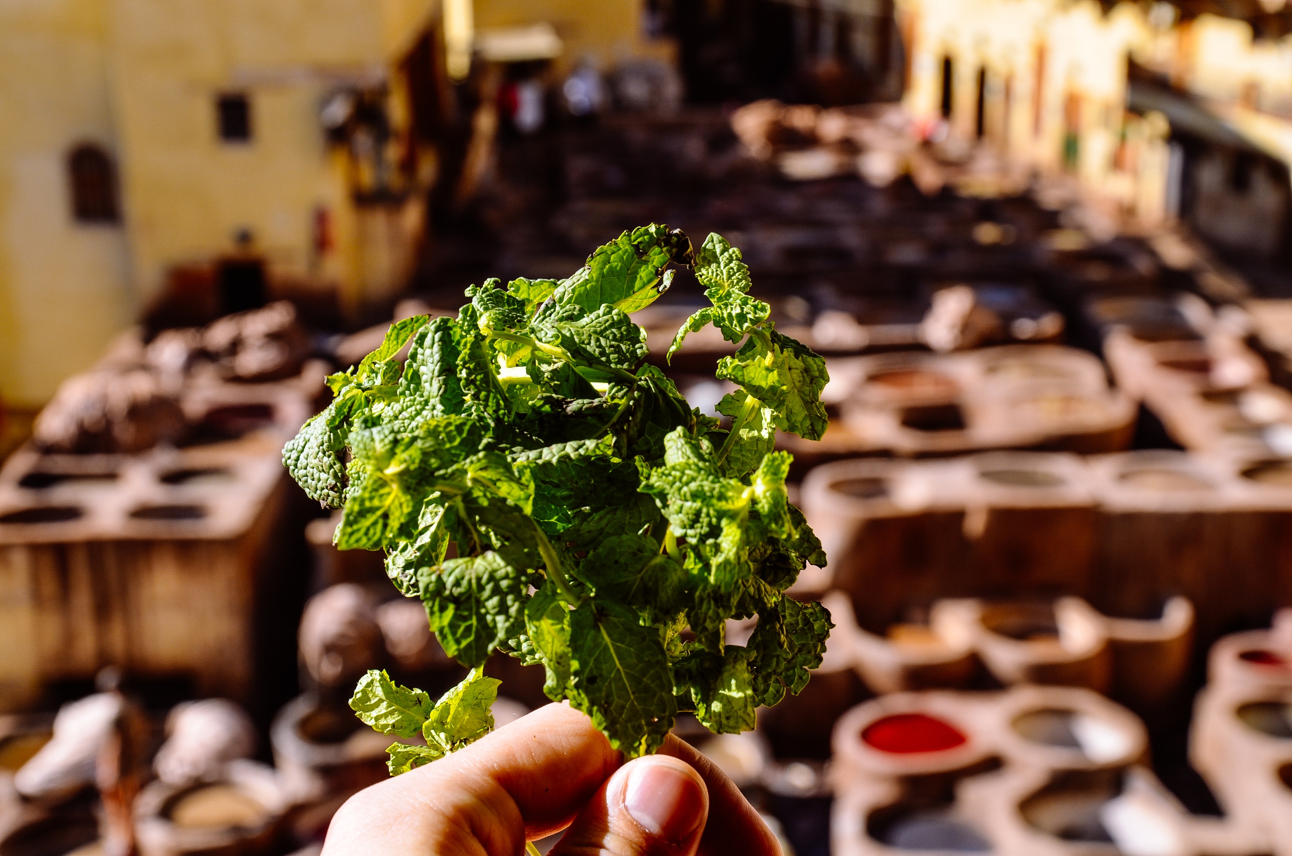 Новый год в Марокко: голубой город, океан и пустыня Сахара (5/27)