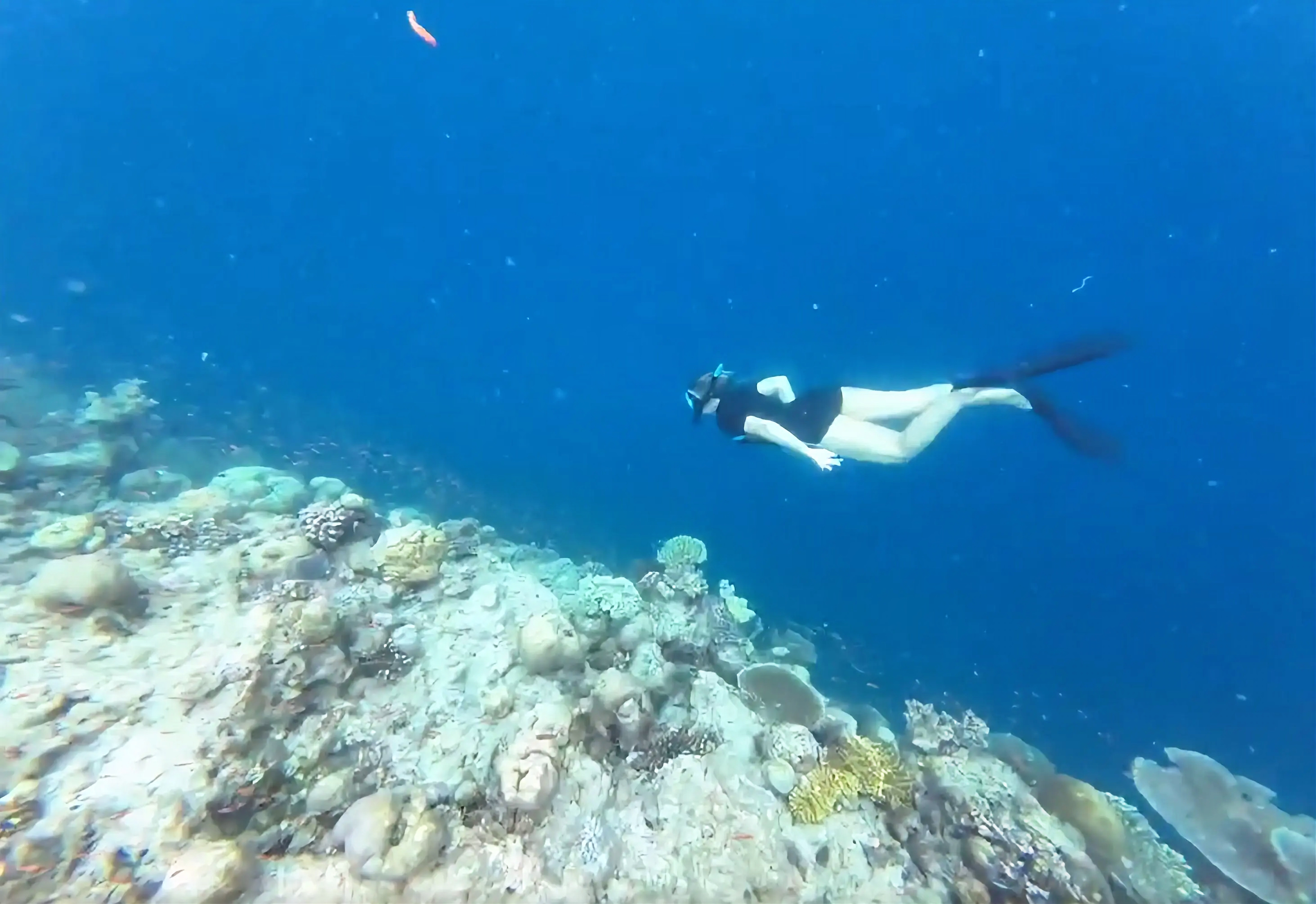 Фото тур на Мальдивах (21/28)