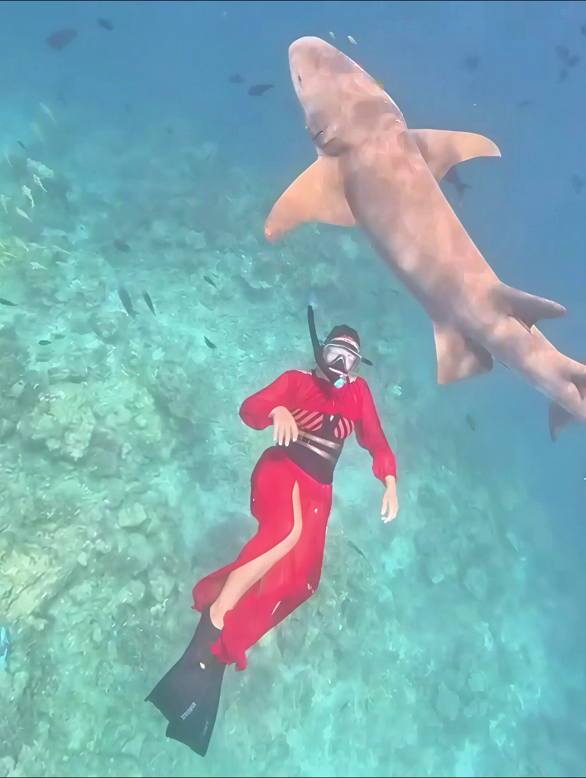 Фото тур на Мальдивах (20/28)