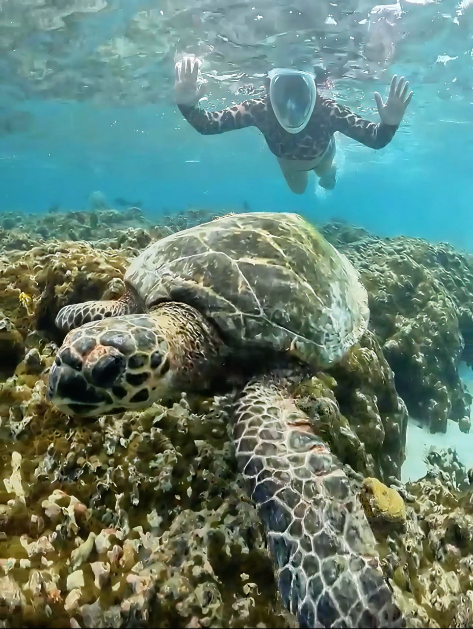 Фото тур на Мальдивах (7/28)