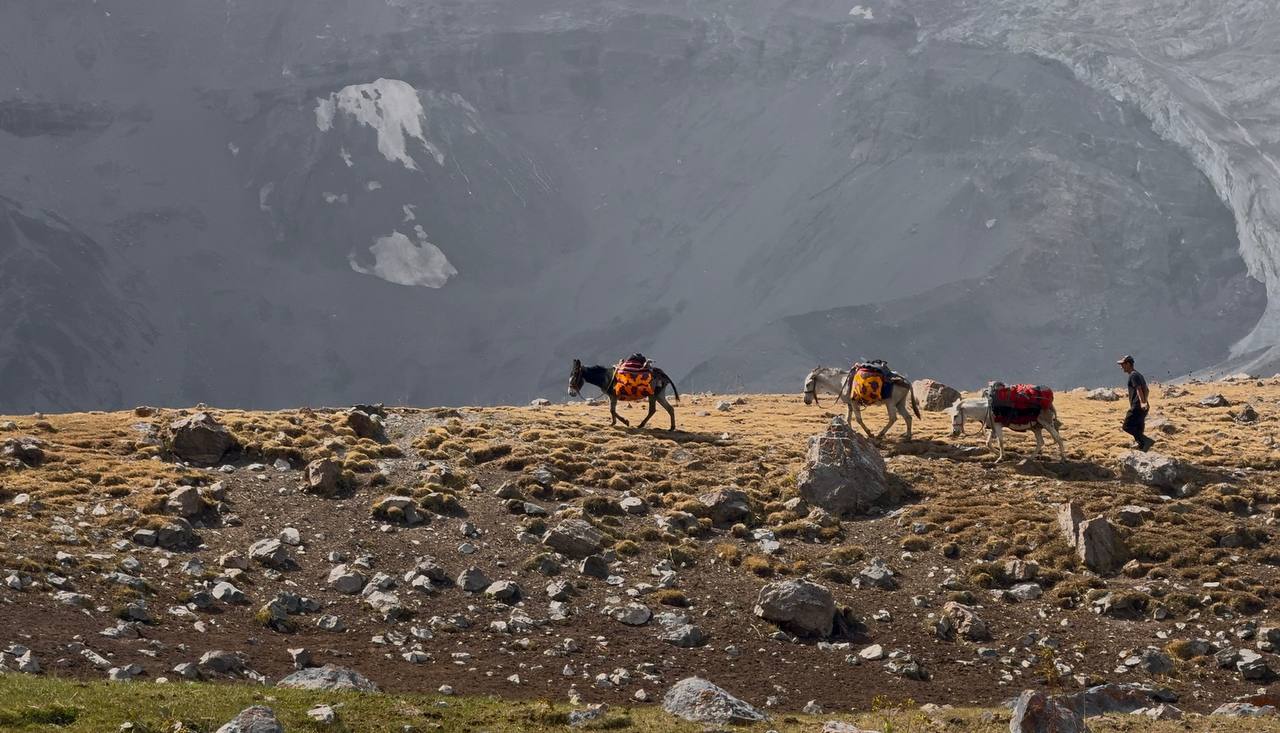 Фанские горы без рюкзаков — тур по Таджикистану (5/25)