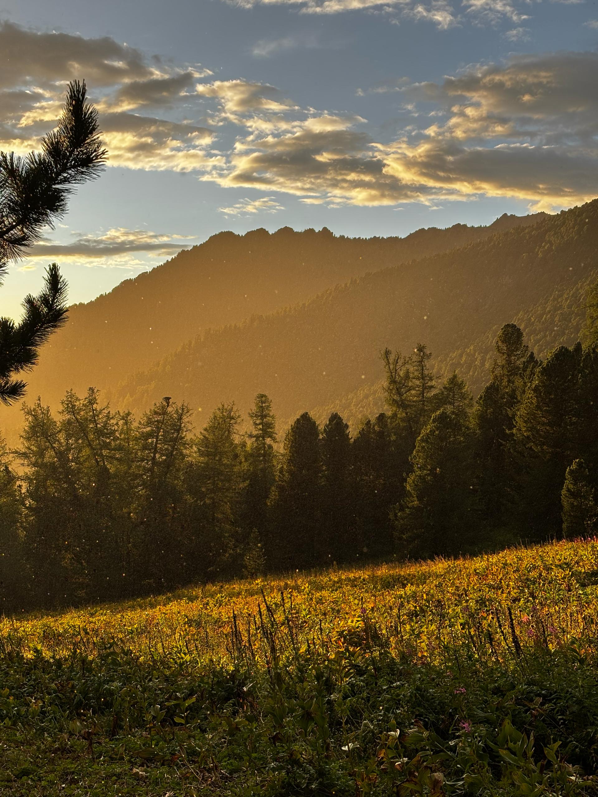 Алтай — поход к горе Белуха по Ороктойской тропе (18/24)