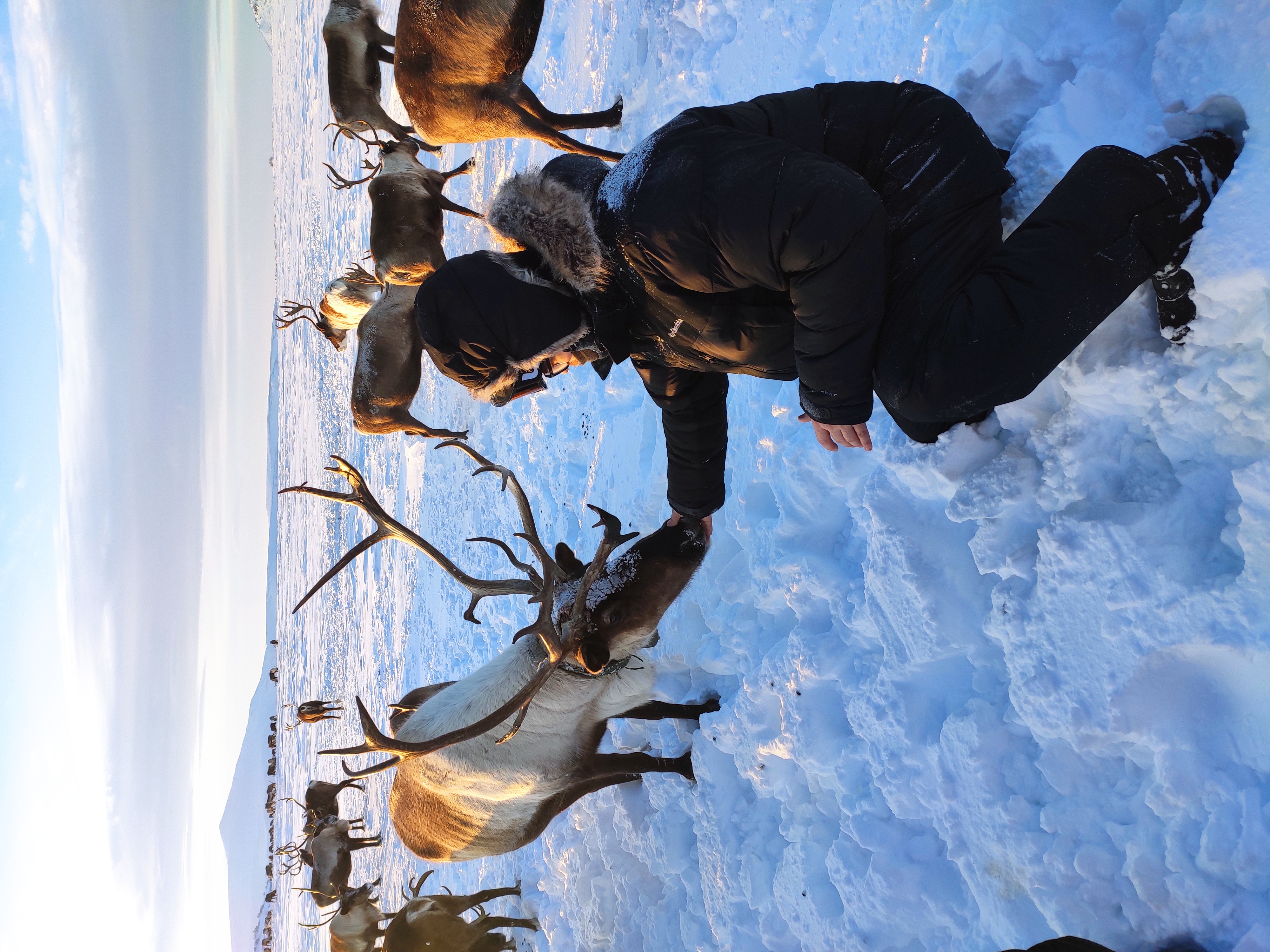 Эссо. В гости к оленеводу (4/15)