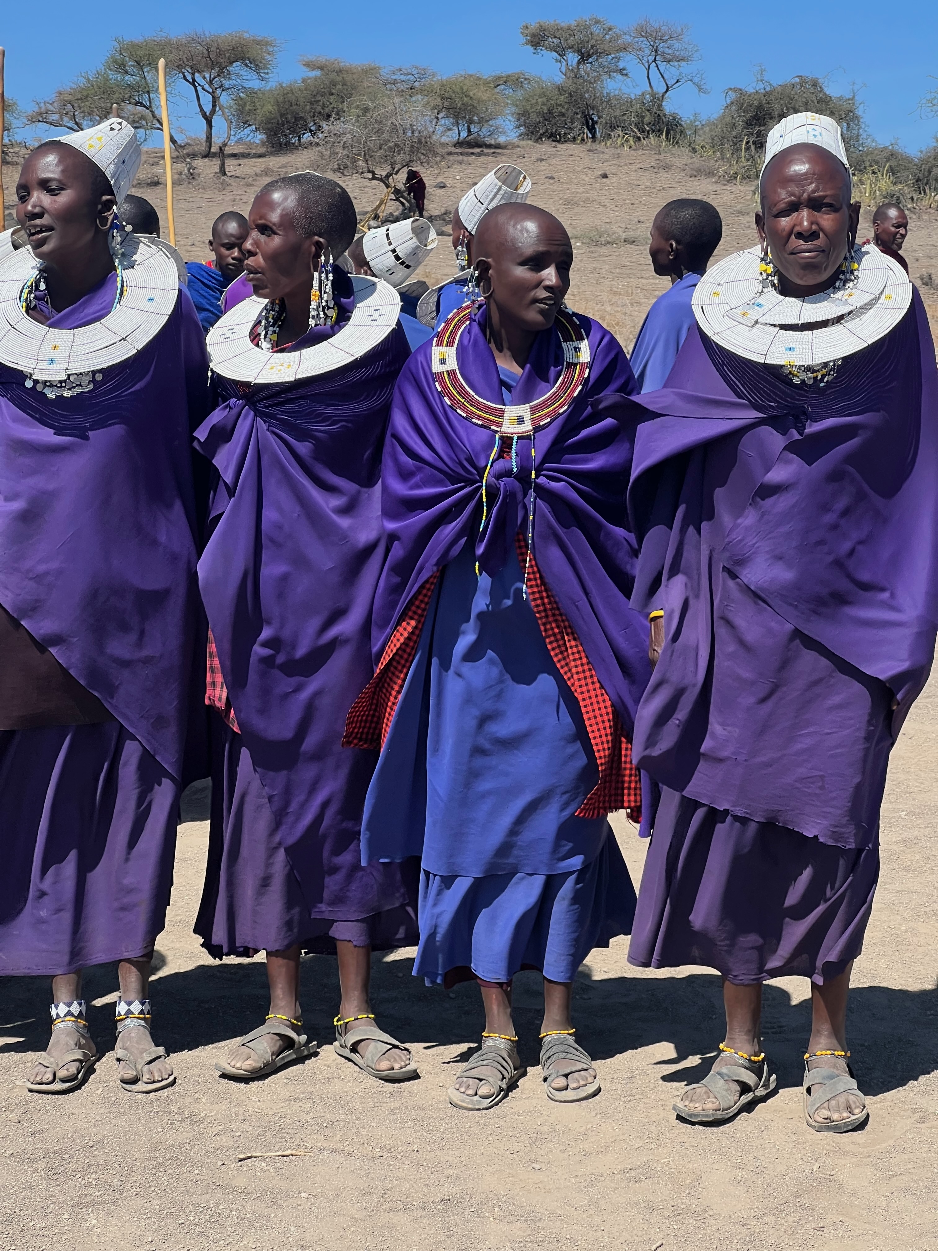 Приватное сафари 4 дня для двоих или семьи: Большая пятёрка и топ-парки Танзании (28/53)