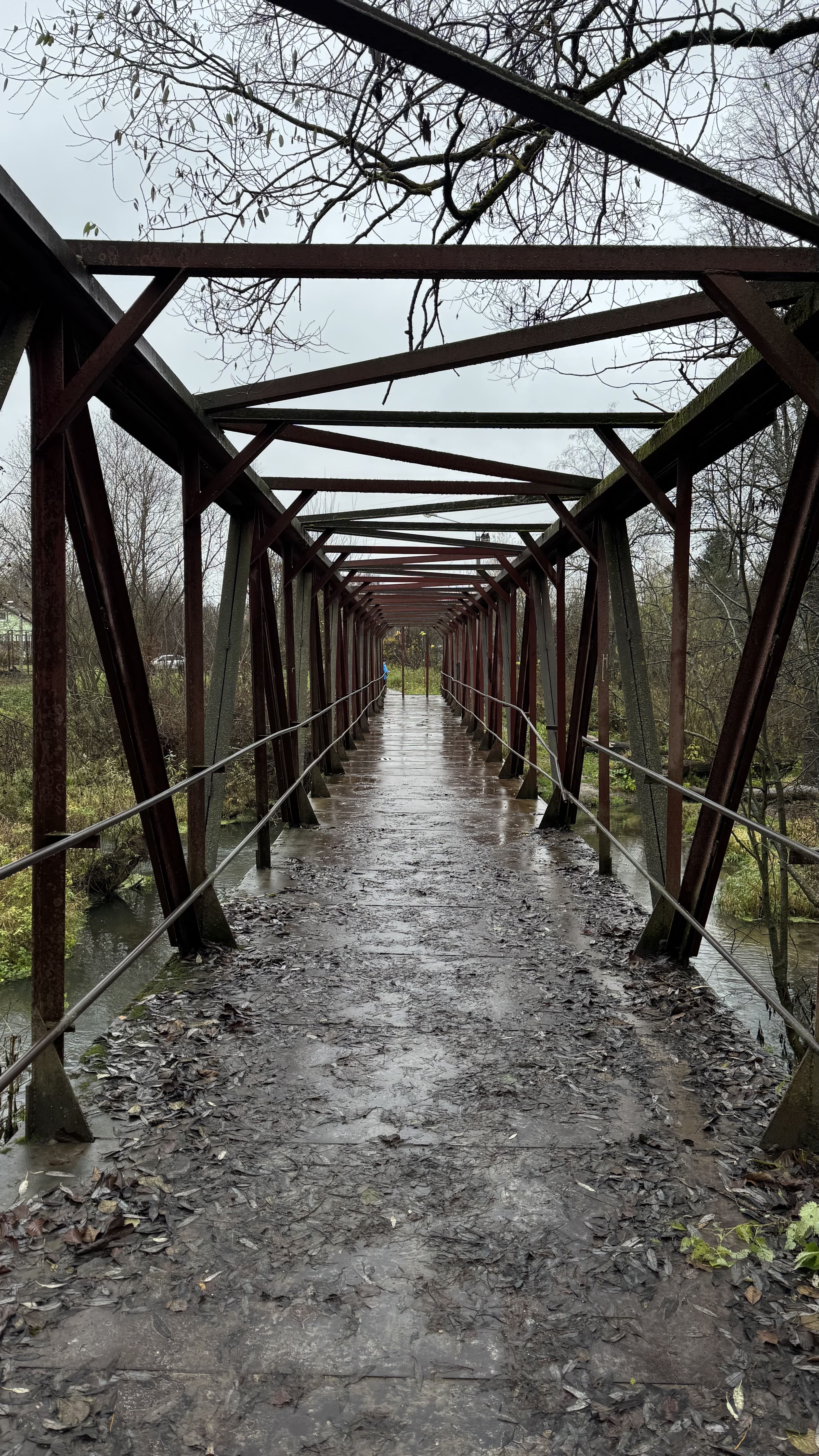 Талеж и Чеховские места с экскурсией в усадьбу, Чехов (21/21)