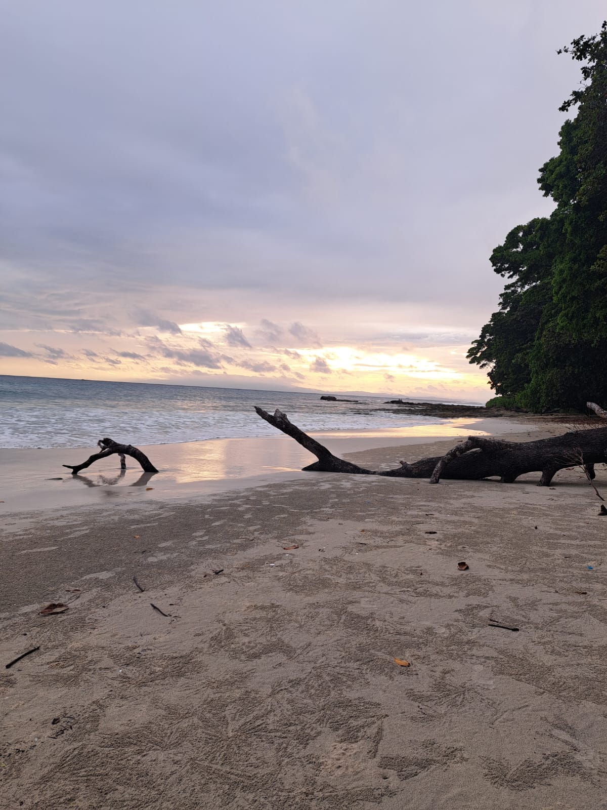 Андаманские острова 3 ночи/4 дня (6/16)