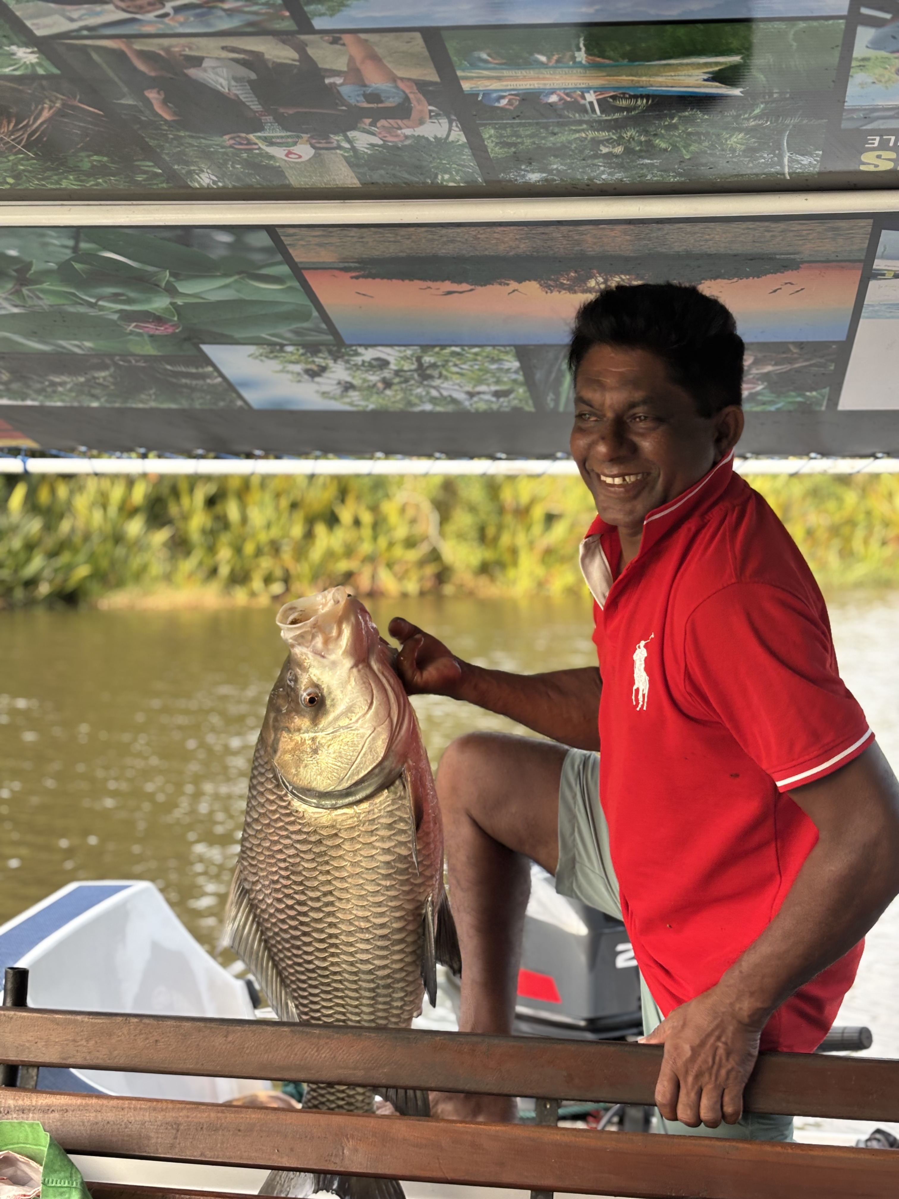 Тур на Шри-Ланку — в сердце Цейлона (3/22)