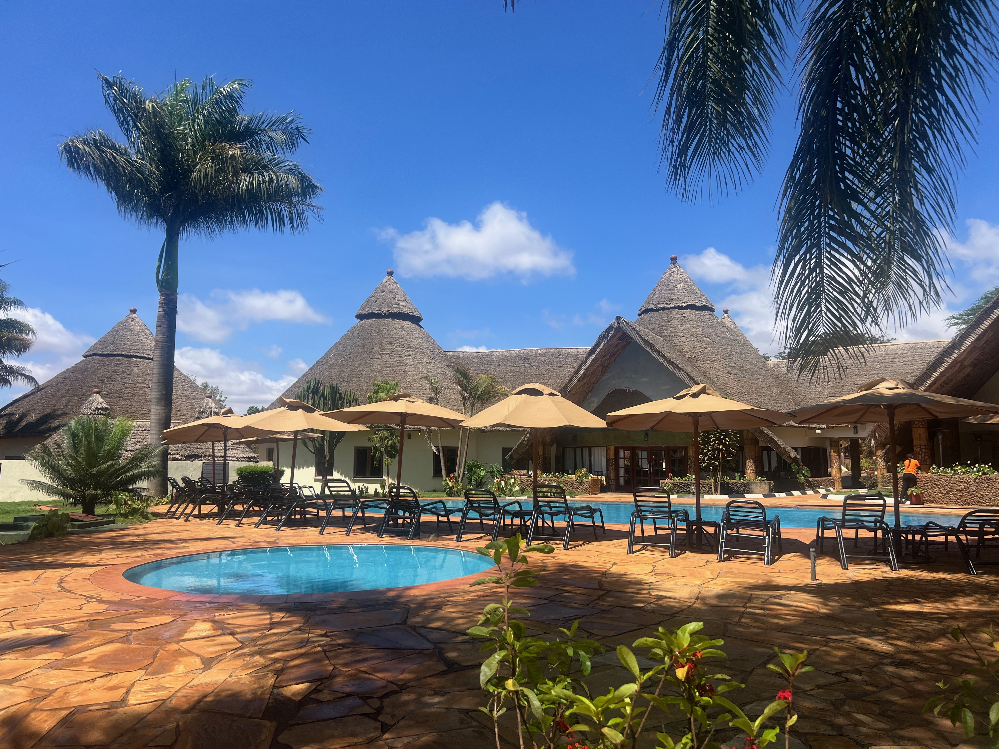 Приватное сафари 4 дня для двоих или семьи: Большая пятёрка и топ-парки Танзании (13/53)