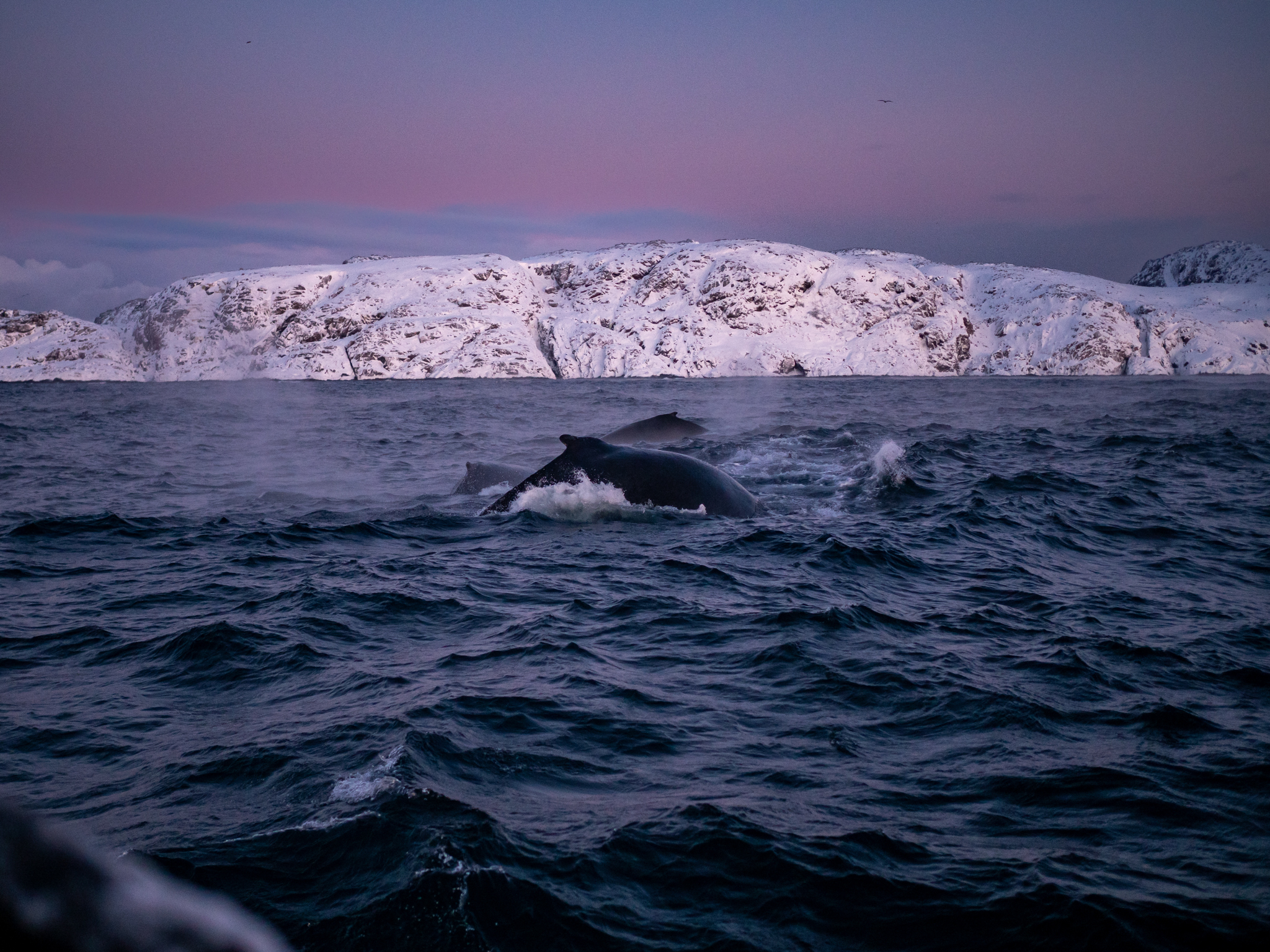 Териберка, Баренцево море и снегоходы вместе с фотографом (3/114)