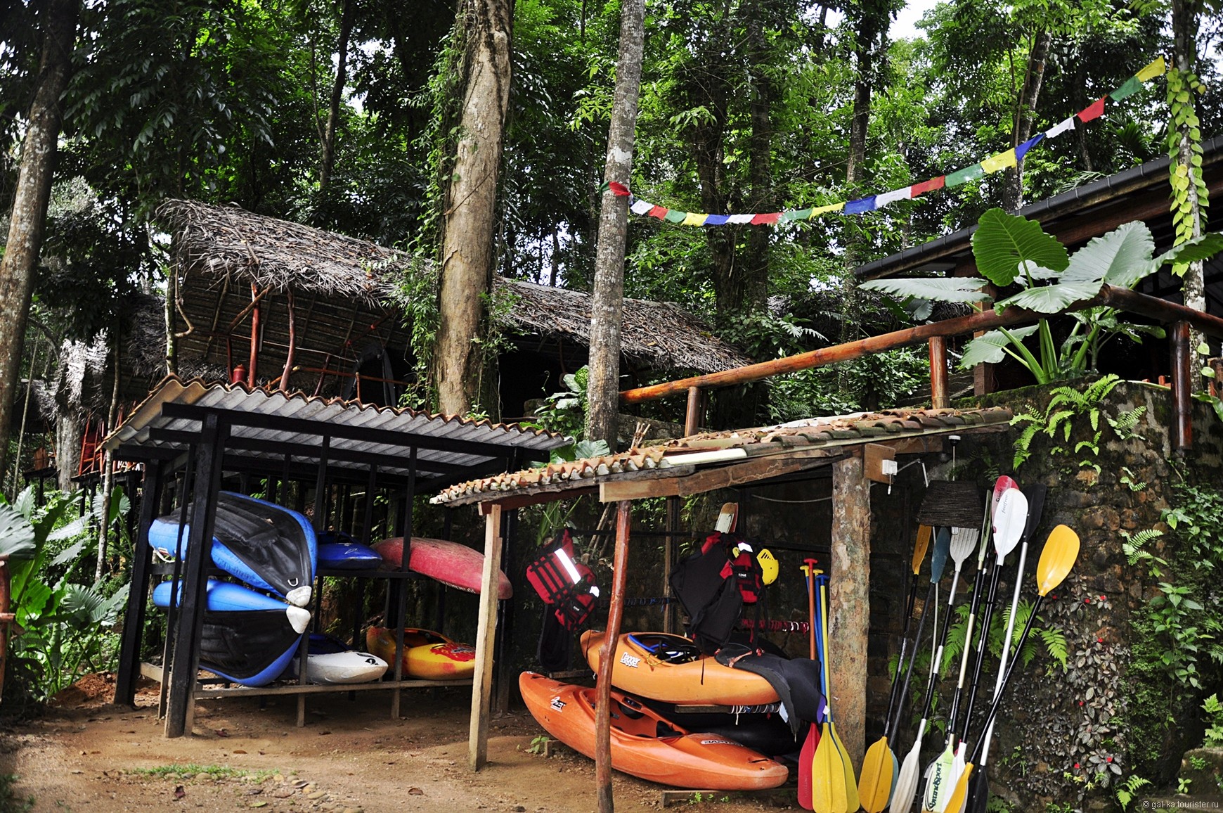 Тур на Шри-Ланку — в сердце Цейлона (2/22)