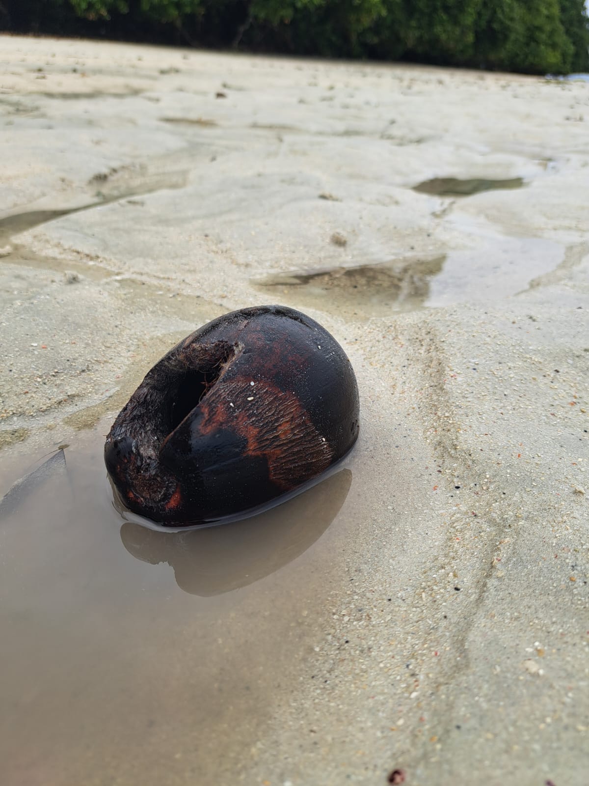 Андаманские острова 3 ночи/4 дня (4/16)