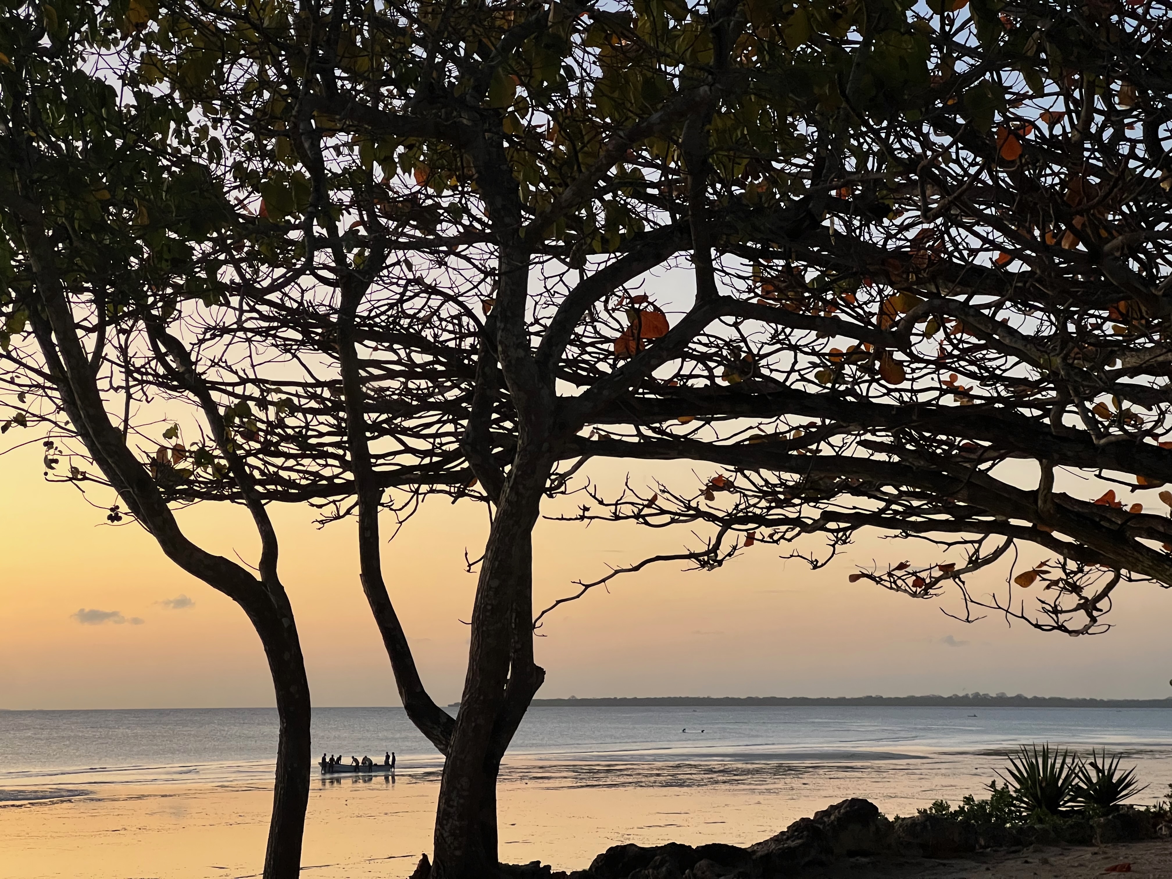 Занзибар: 9 дней моря, приключений и культуры (приватный тур) (5/47)