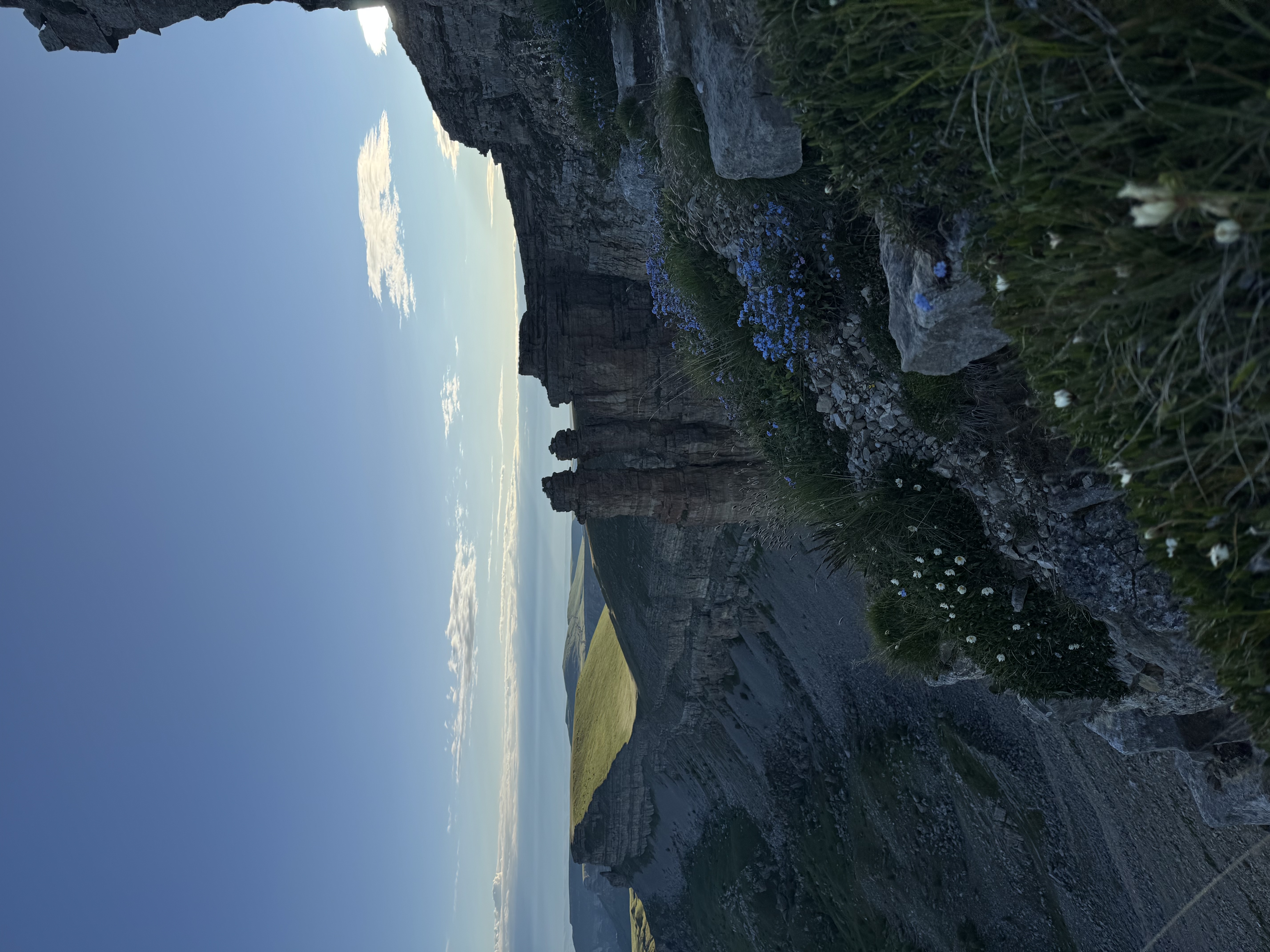 Индивидуальный тур на плато Бермамыт в компании собаки Панды (9/11)