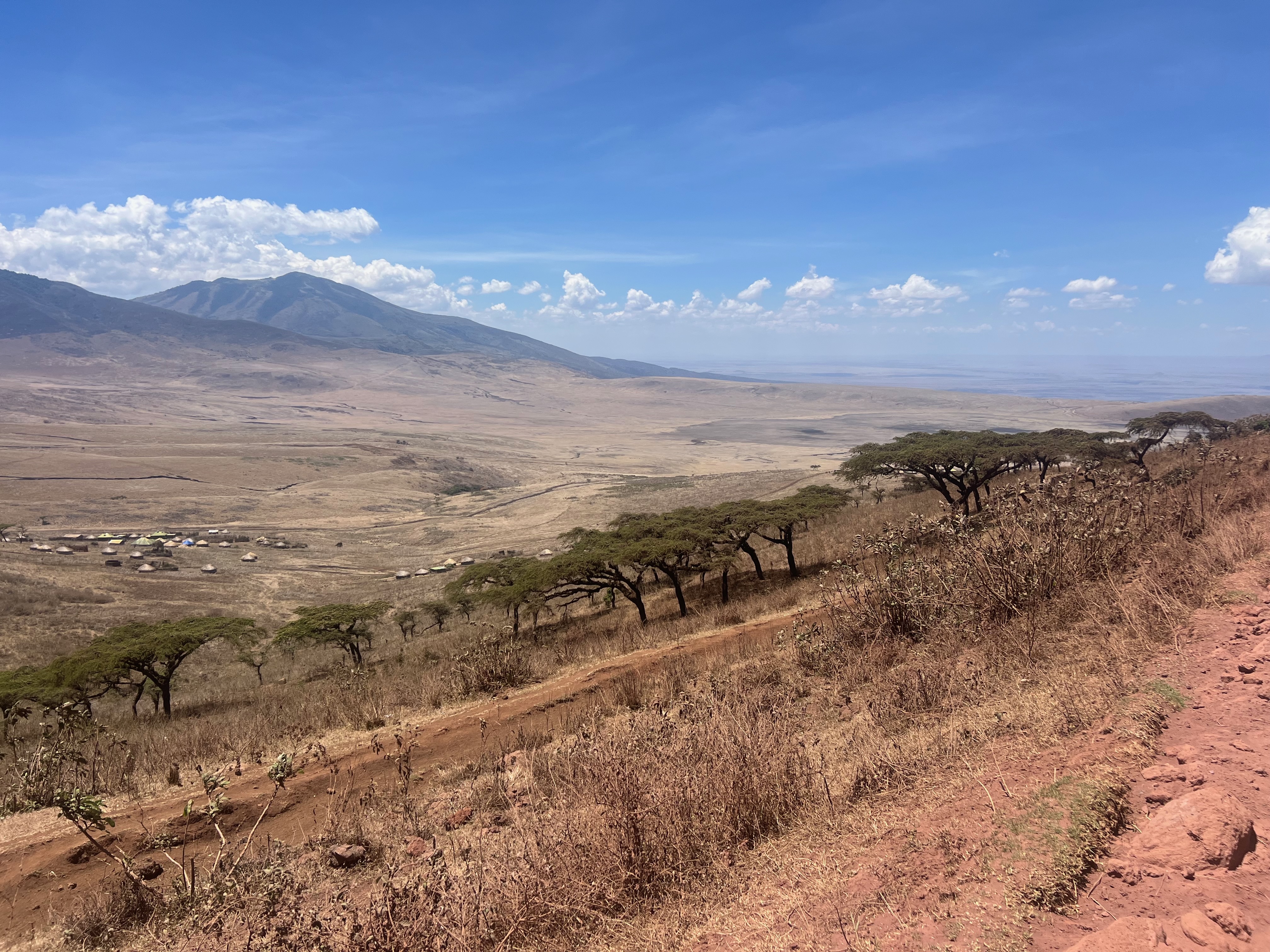 Приватное сафари 4 дня для двоих или семьи: Большая пятёрка и топ-парки Танзании (19/53)