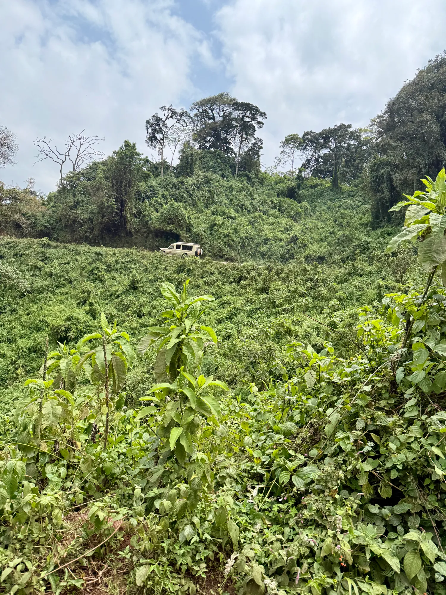 Приватное сафари 4 дня для двоих или семьи: Большая пятёрка и топ-парки Танзании (35/53)