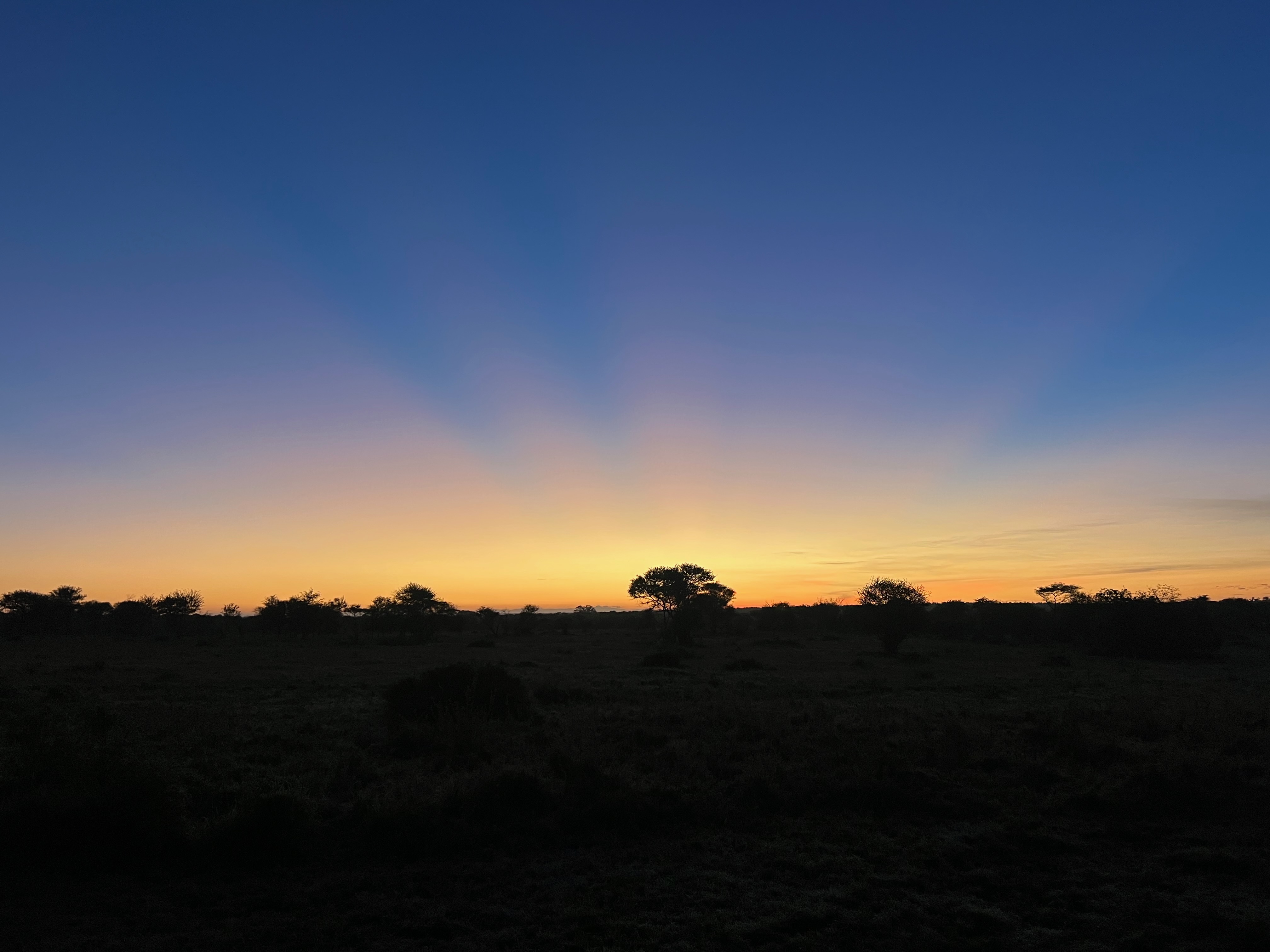 Приватное сафари 4 дня для двоих или семьи: Большая пятёрка и топ-парки Танзании (16/53)
