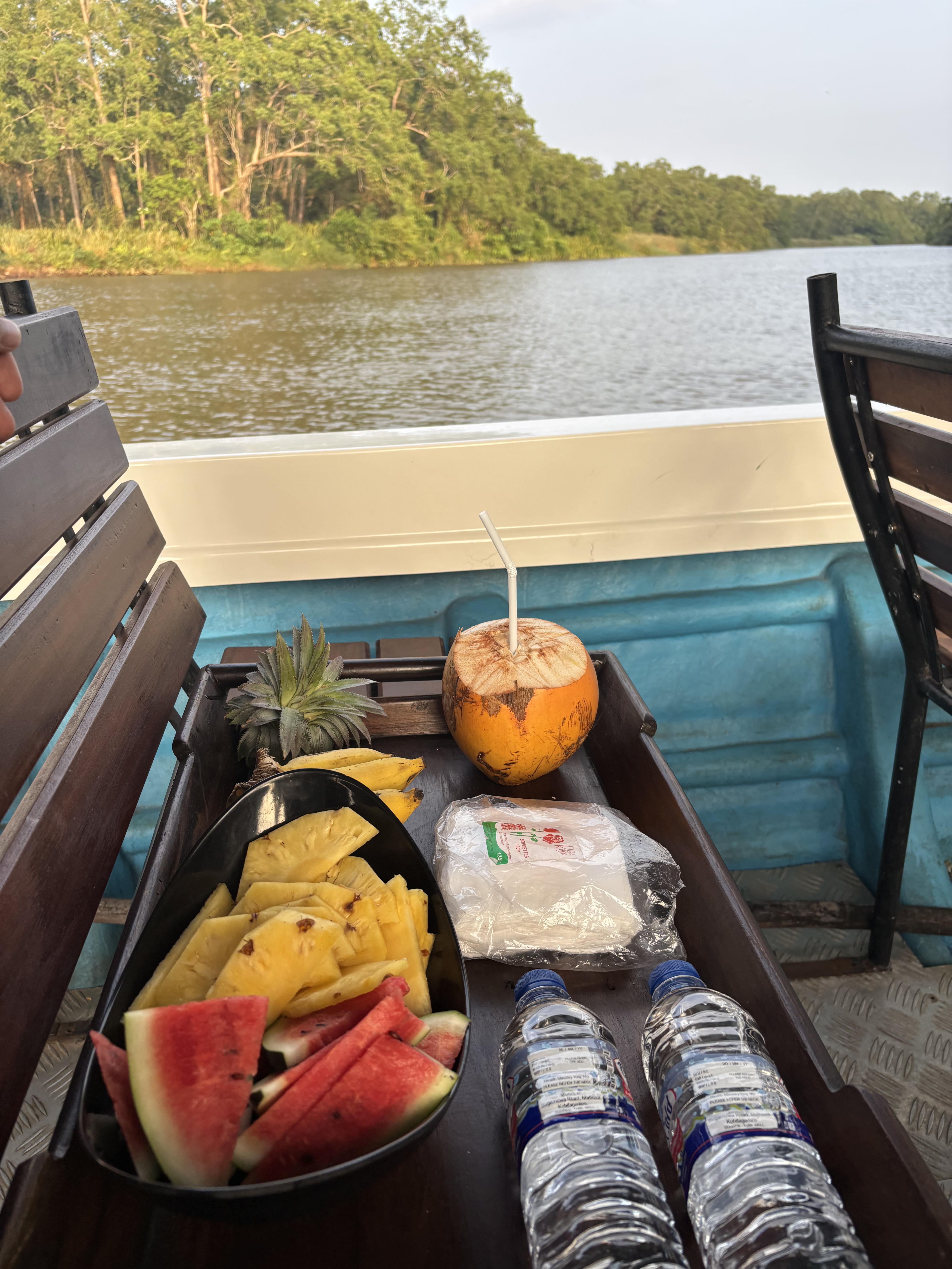 Тур на Шри-Ланку — в сердце Цейлона (5/22)