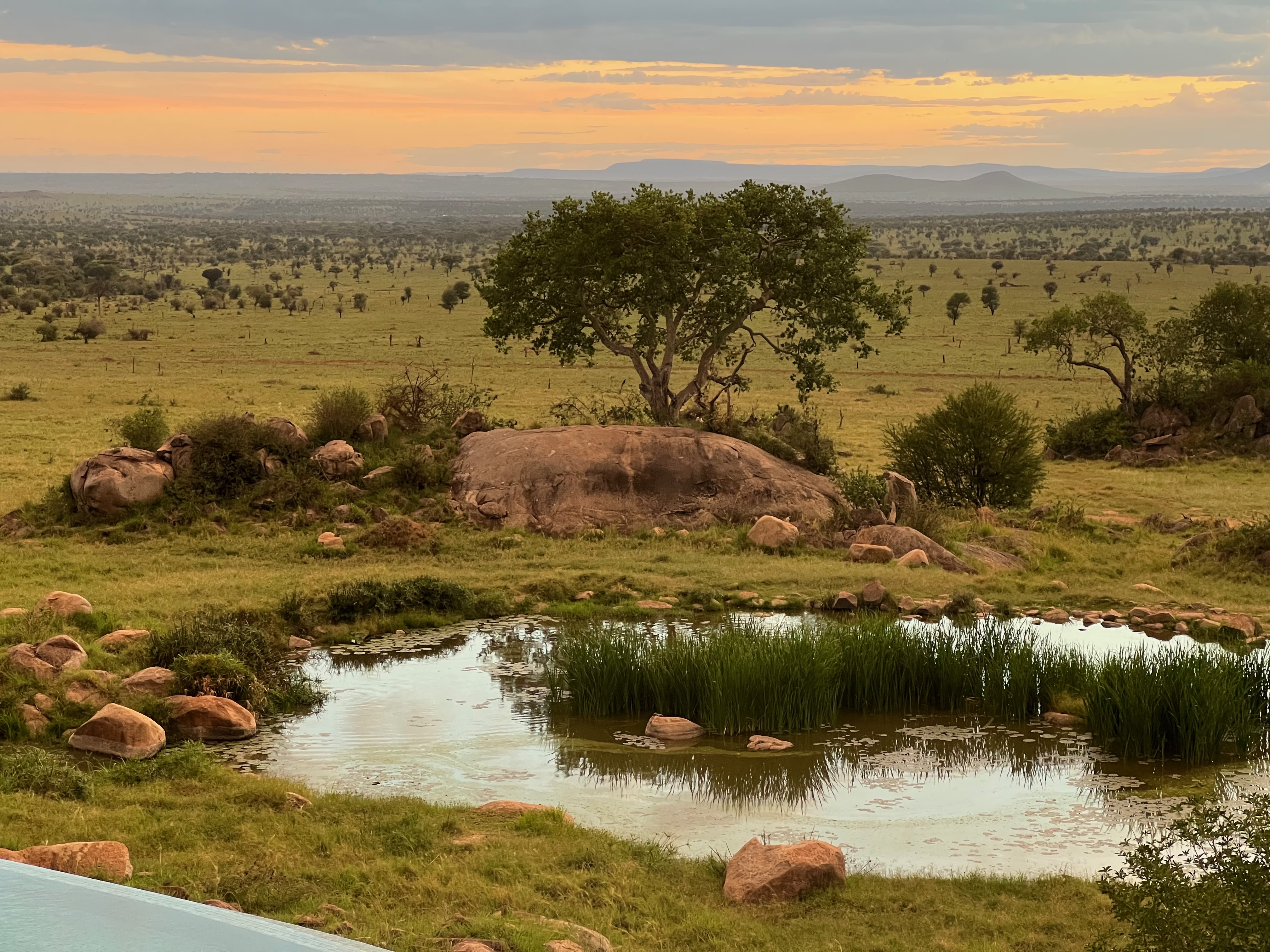 Приватное сафари 4 дня для двоих или семьи: Большая пятёрка и топ-парки Танзании (29/53)