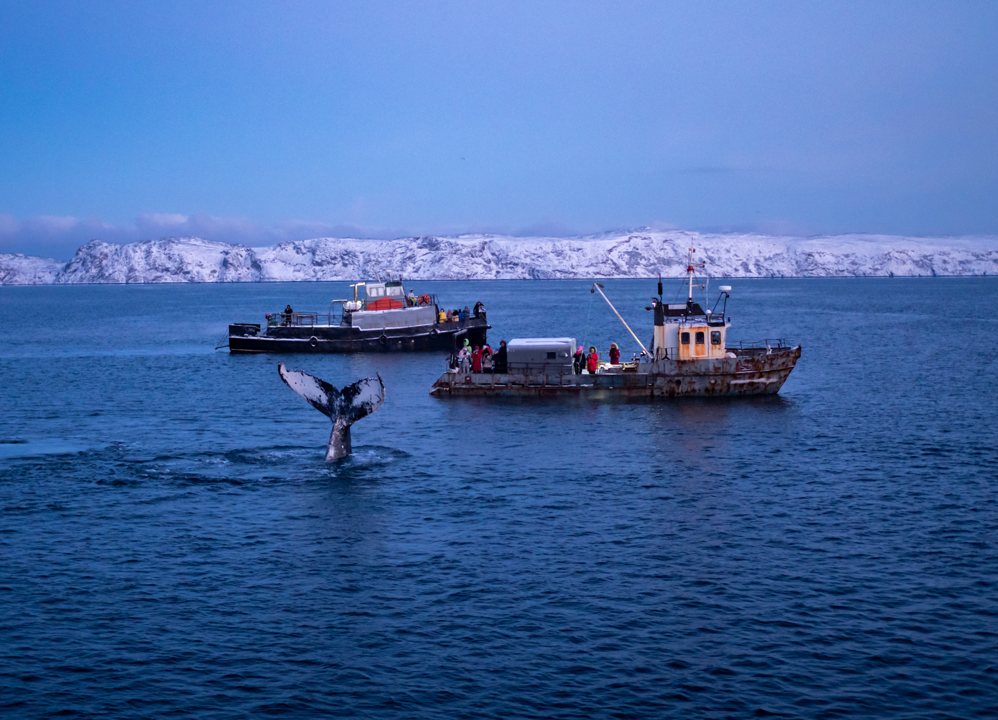 В Арктику с фотографом: Териберка, киты, сияние и снегоходы — в группе до 6 человек