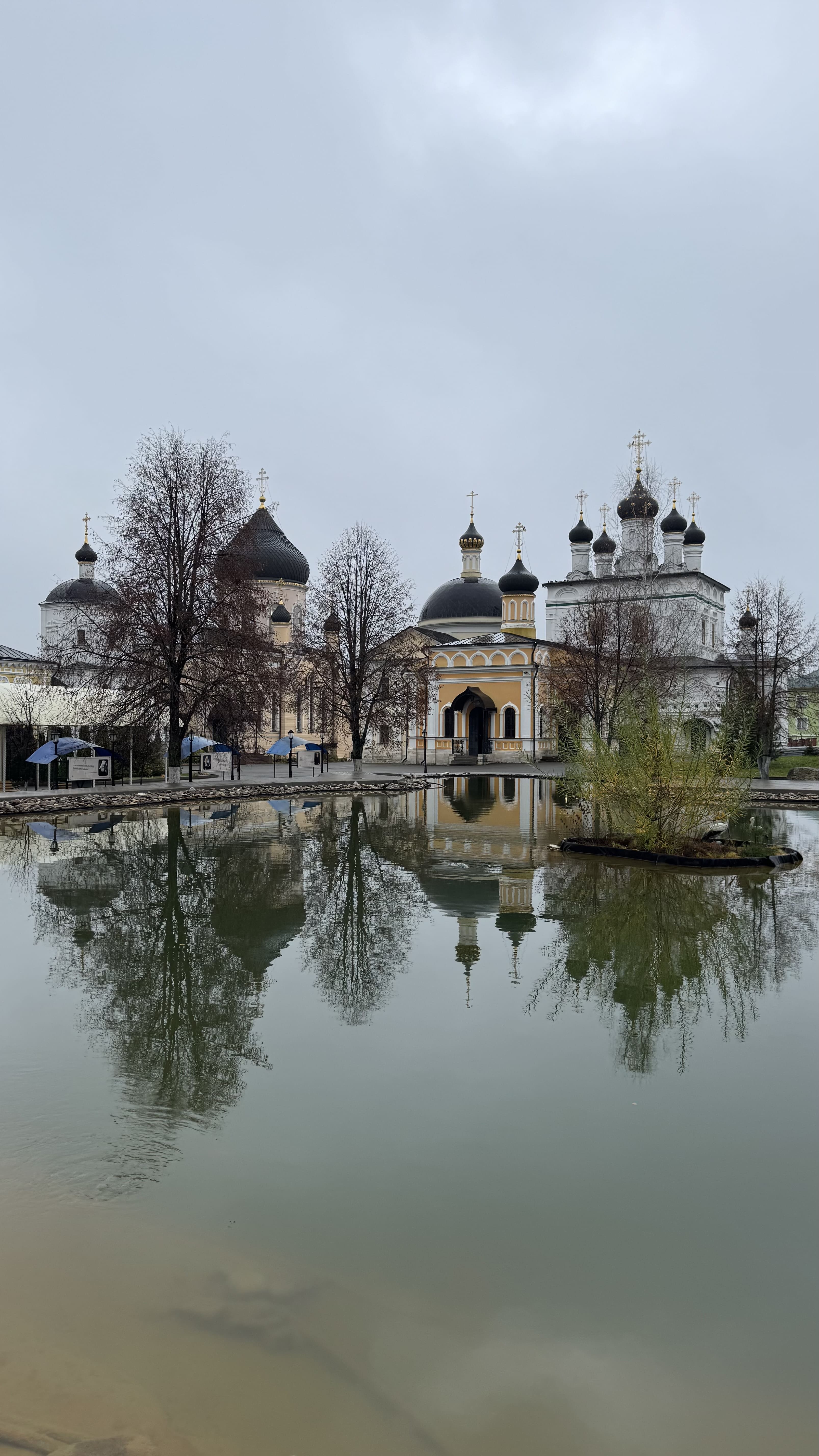 Талеж и Чеховские места с экскурсией в усадьбу, Чехов (14/21)