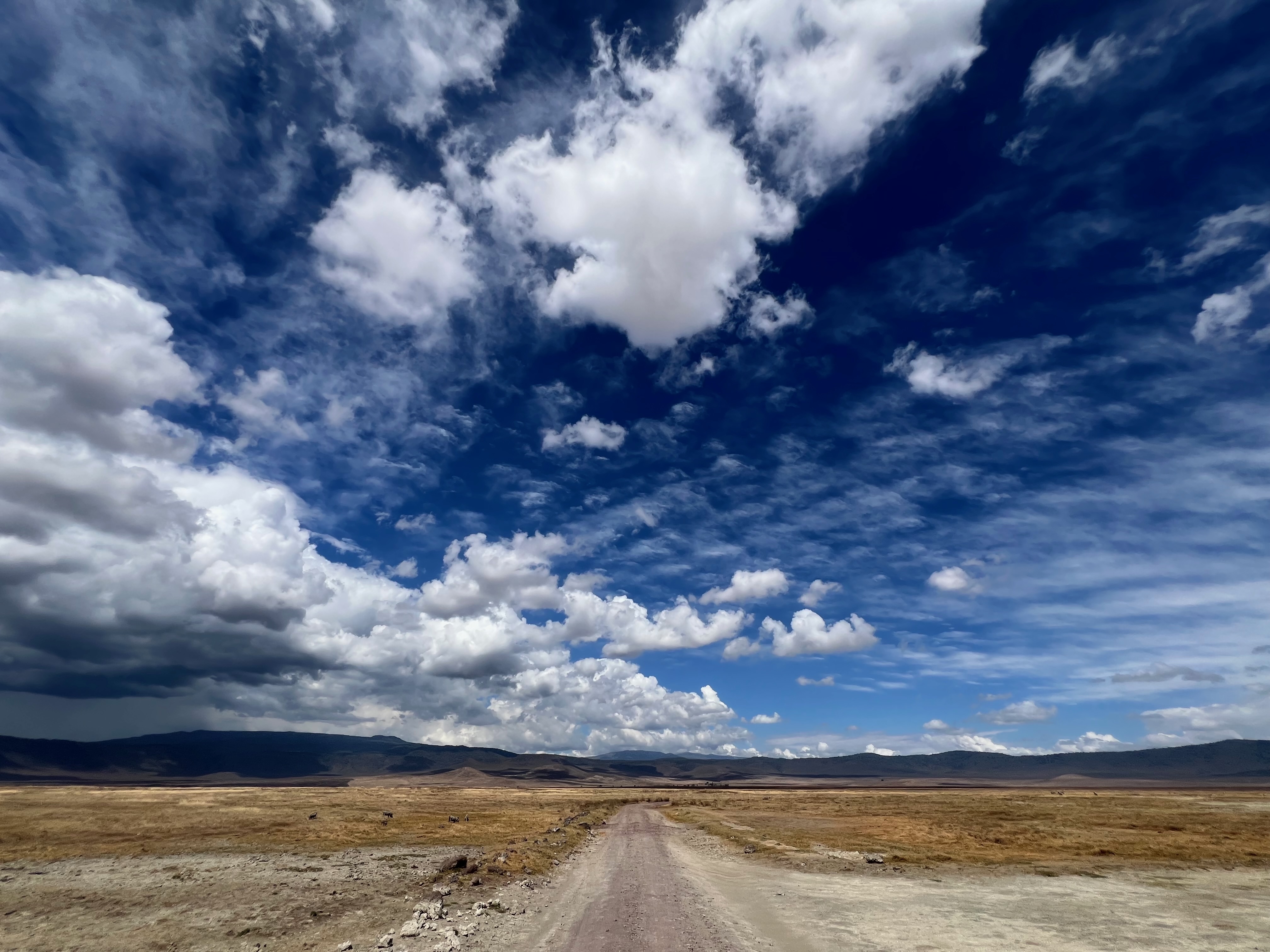 Приватное сафари 4 дня для двоих или семьи: Большая пятёрка и топ-парки Танзании (25/53)
