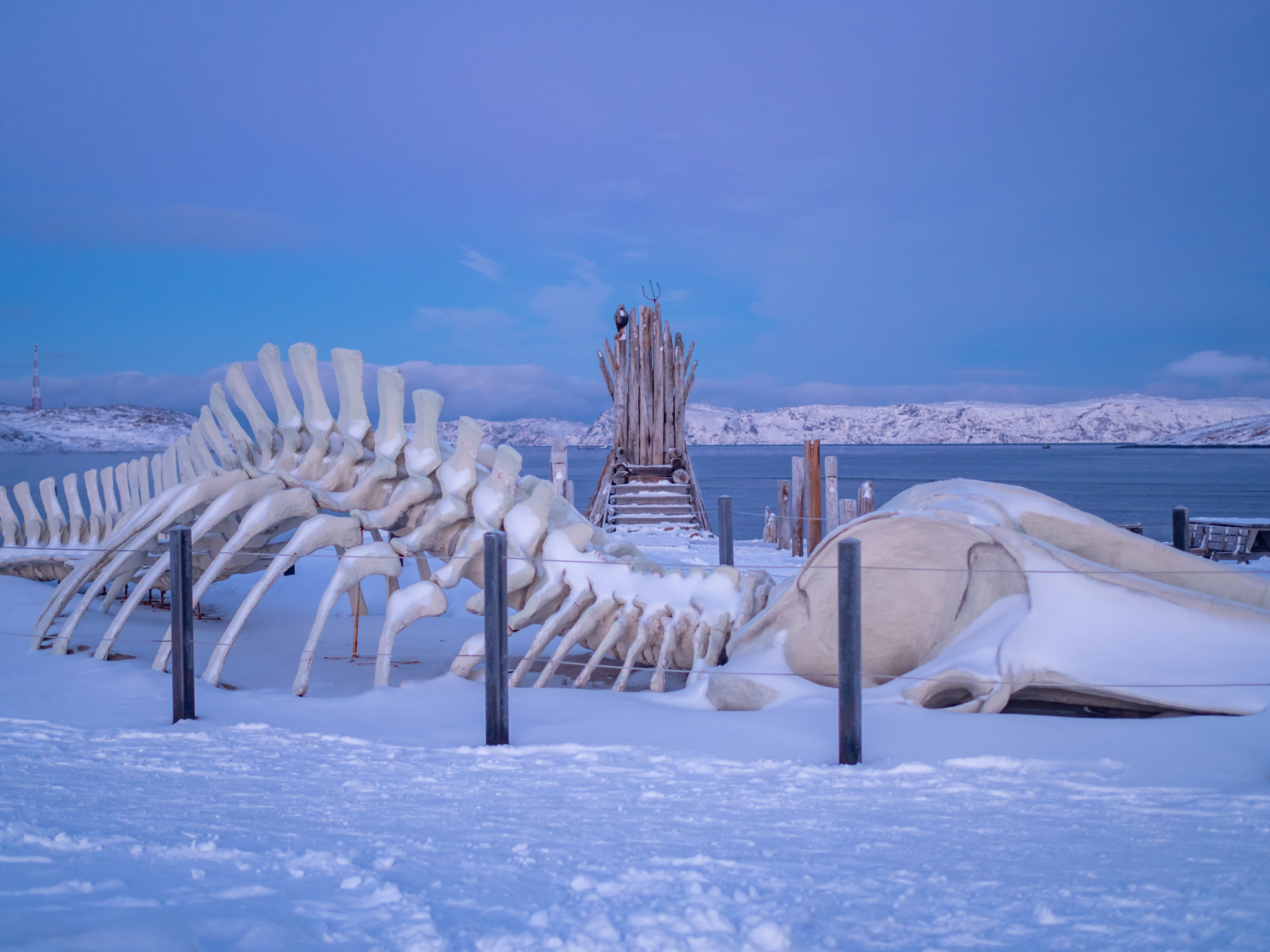 Териберка, Баренцево море и снегоходы вместе с фотографом (42/114)