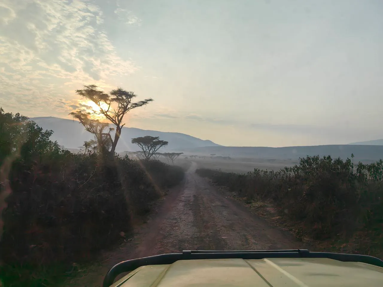 Приватное сафари 4 дня для двоих или семьи: Большая пятёрка и топ-парки Танзании (42/53)
