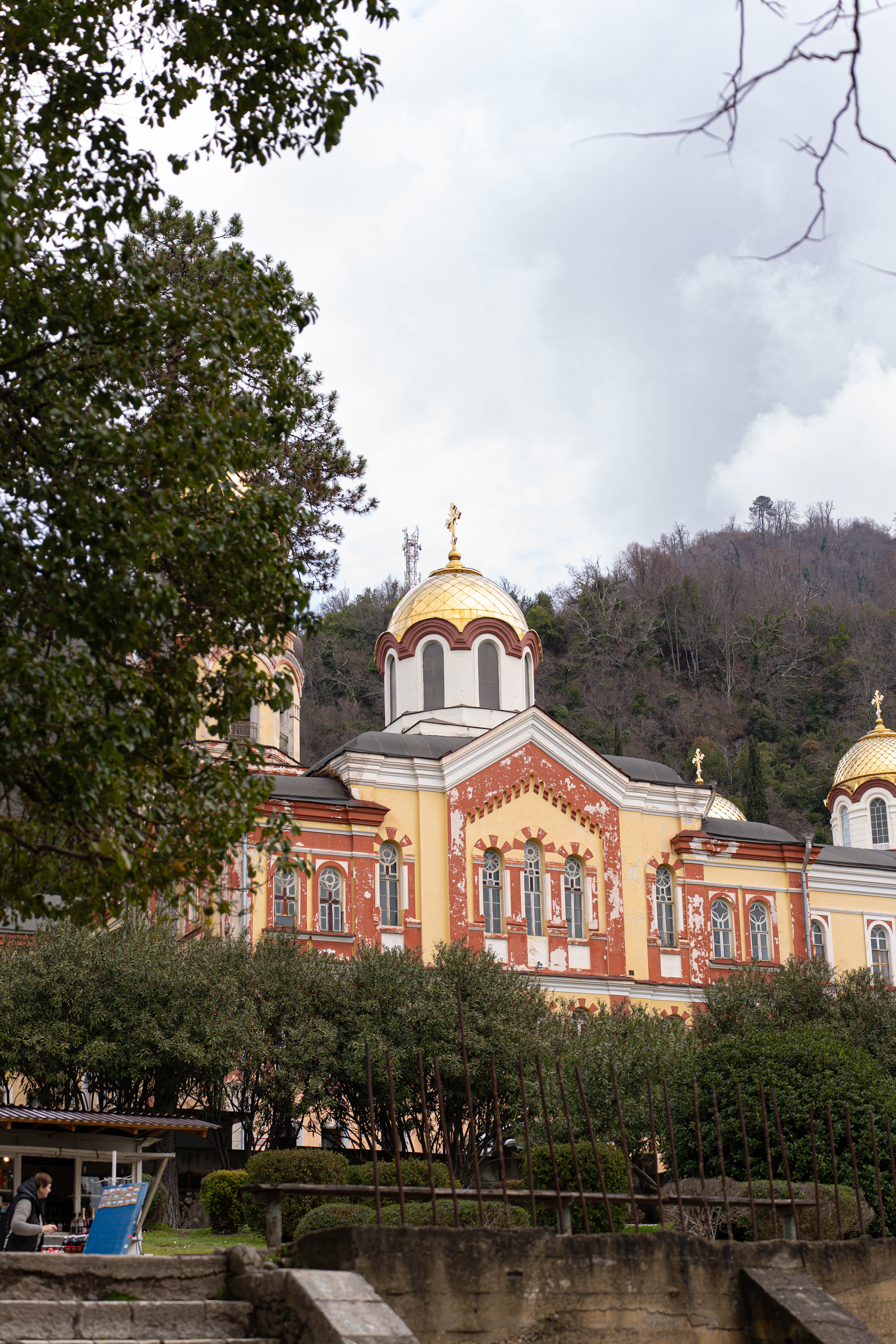Встречайте Новый год в стране Вечного Лета!  Абхазия