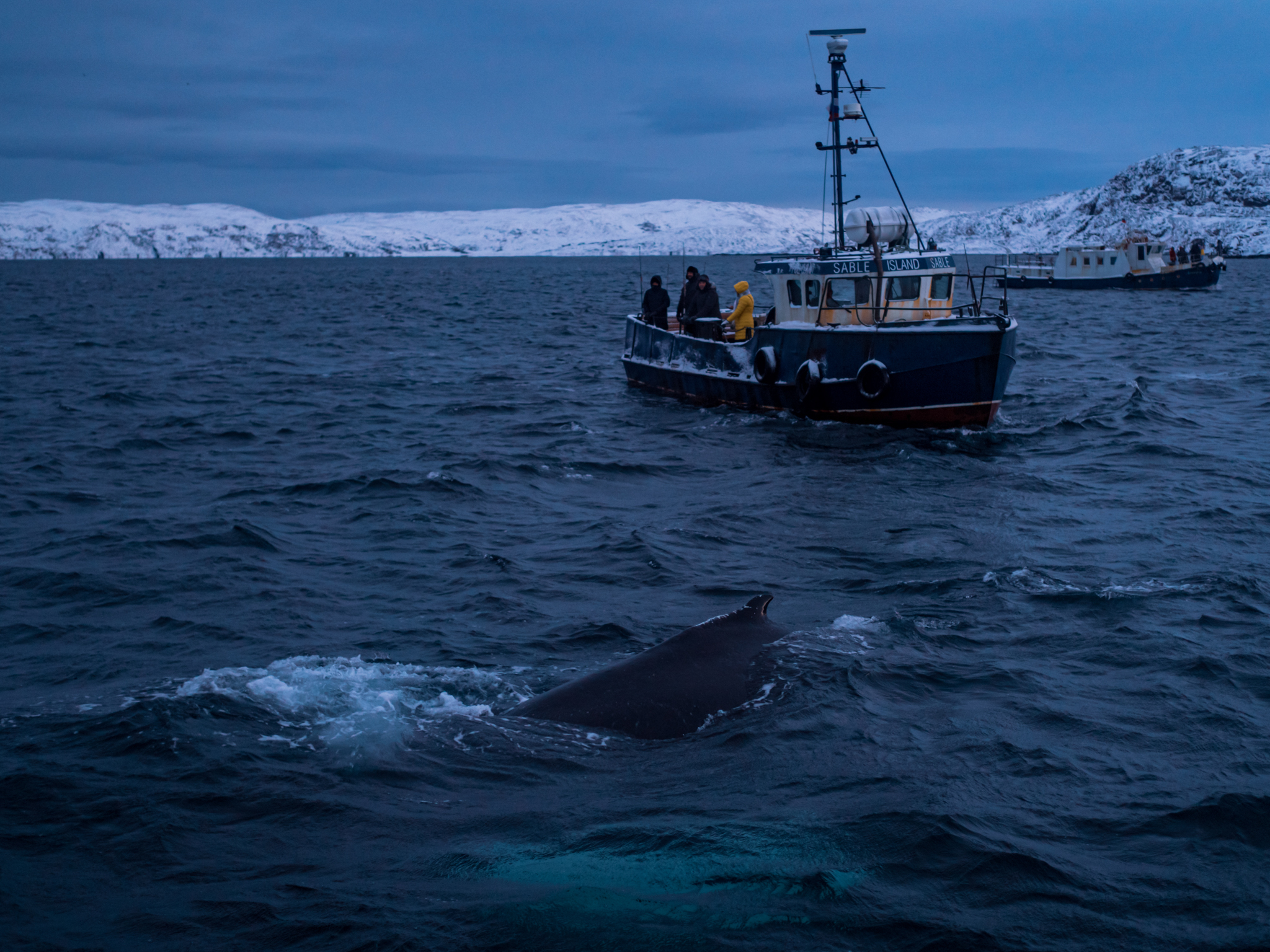Териберка, Баренцево море и снегоходы вместе с фотографом (34/114)