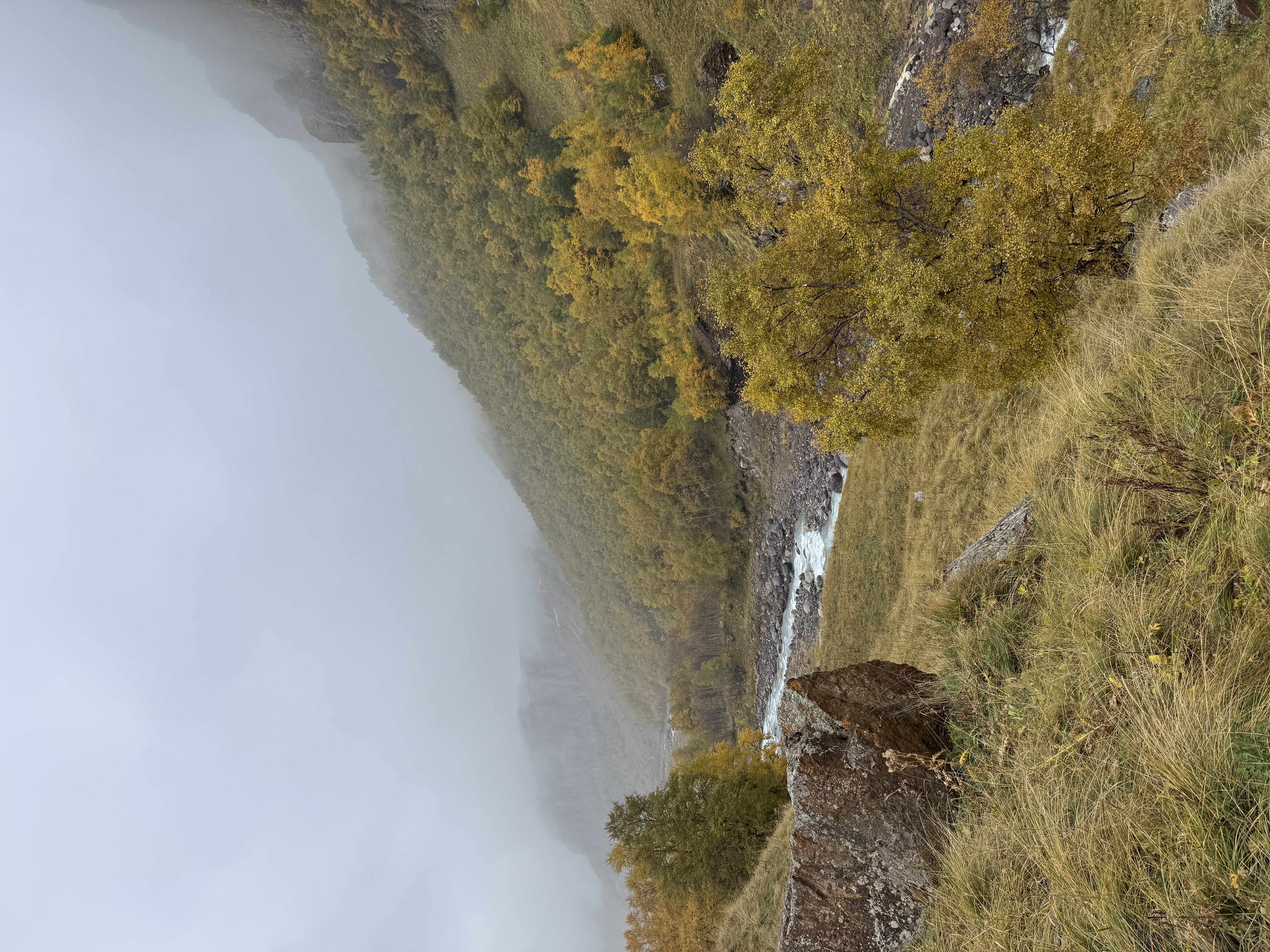 Индивидуальный тур на плато Бермамыт в компании собаки Панды (4/11)