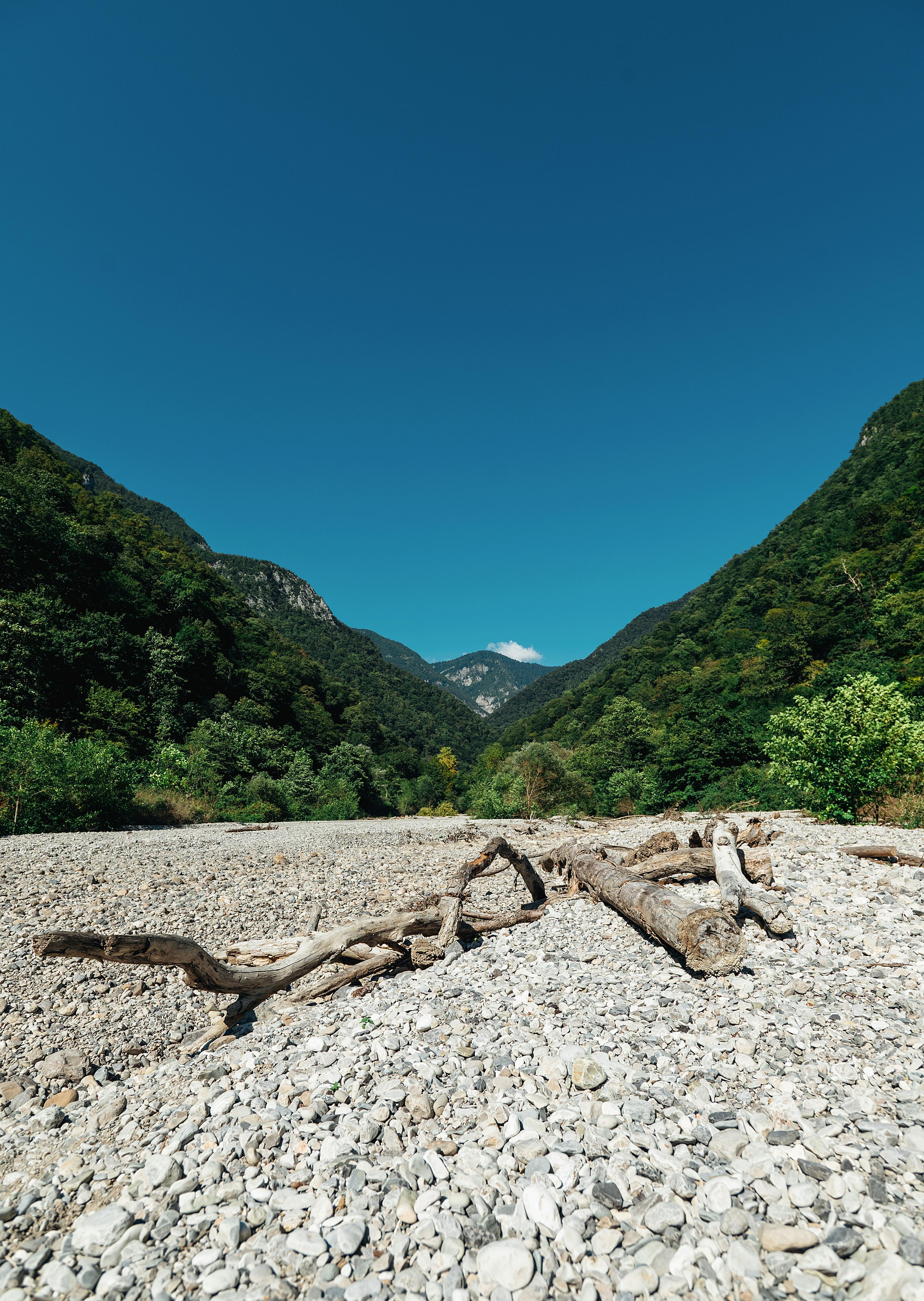 Вся Абхазия за 6 дней (25/52)