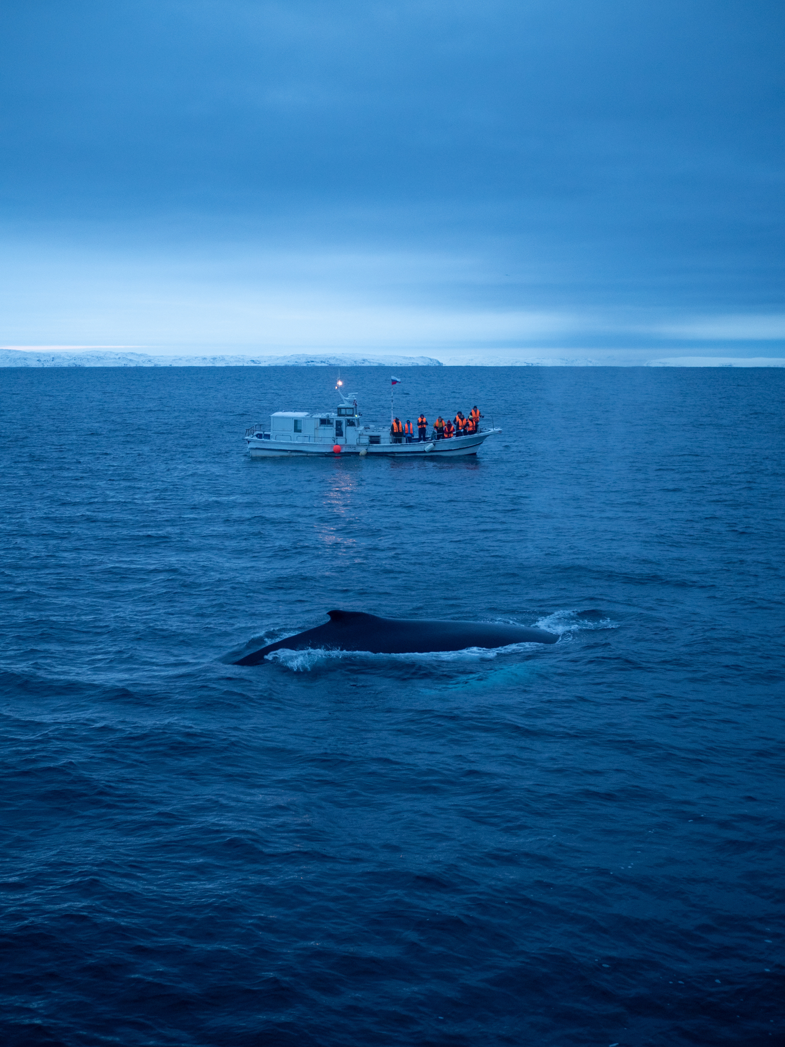 Териберка, Баренцево море и снегоходы вместе с фотографом (101/114)