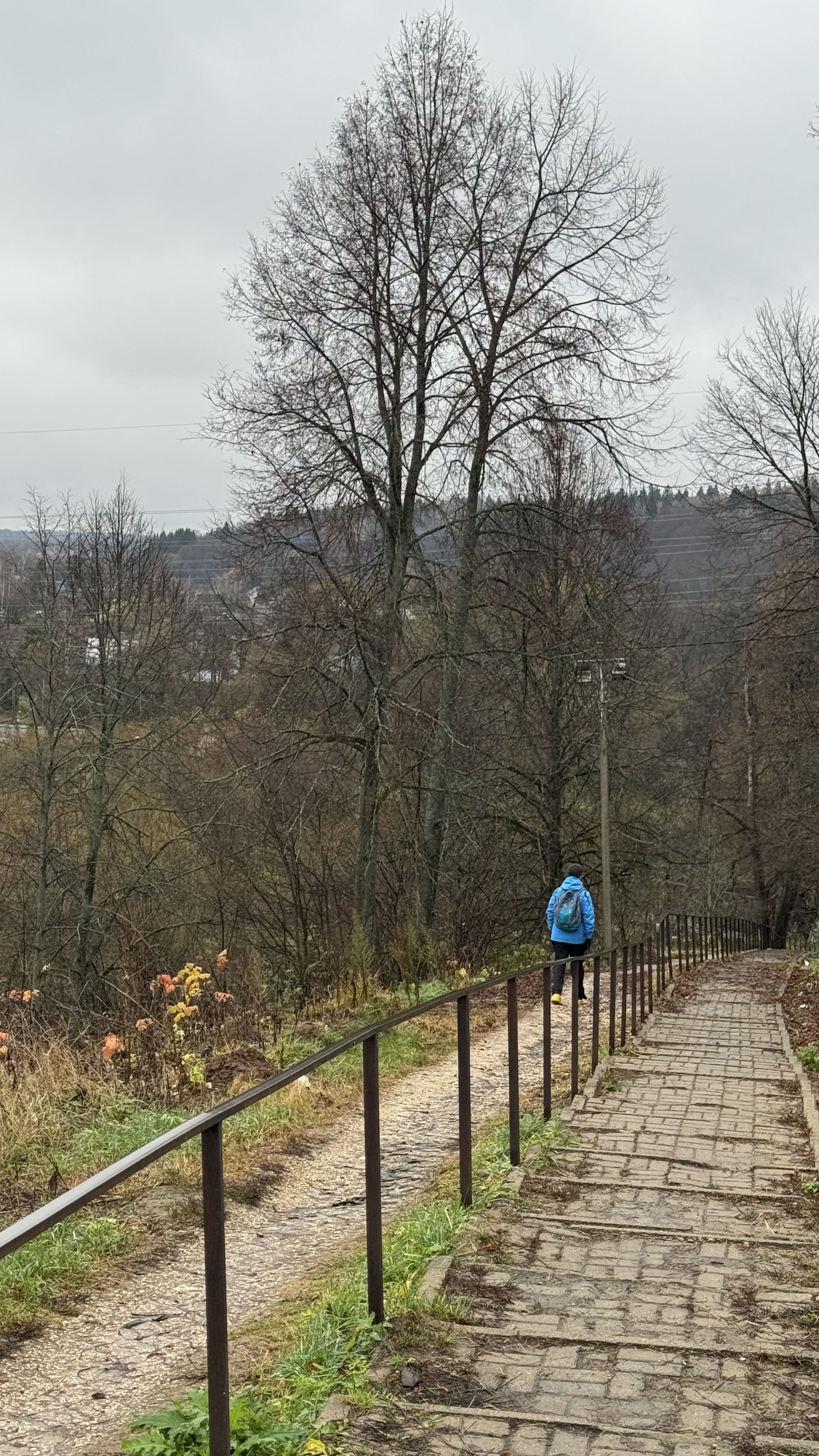 Талеж и Чеховские места с экскурсией в усадьбу, Чехов (15/21)