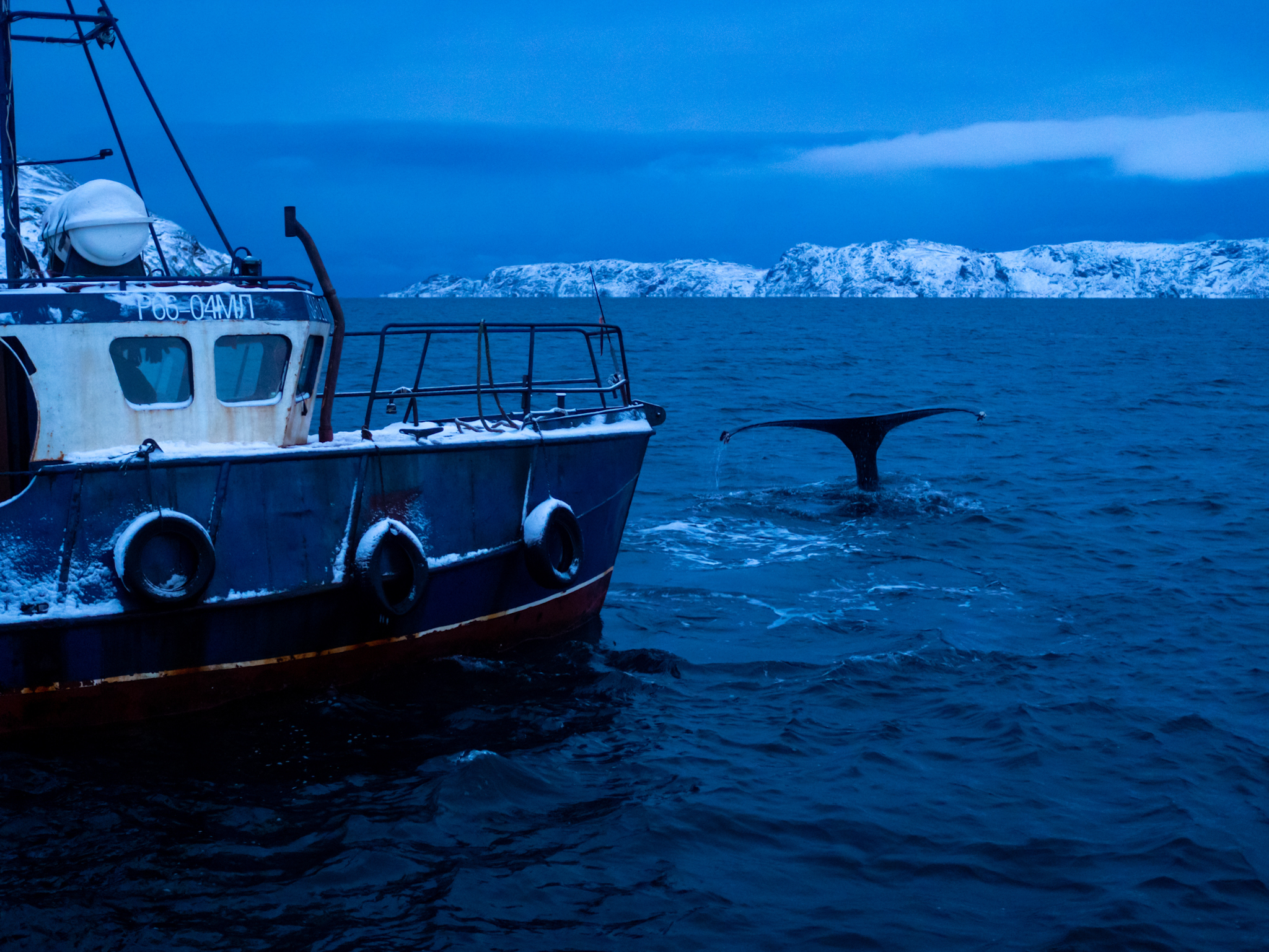 Териберка, Баренцево море и снегоходы вместе с фотографом (37/114)