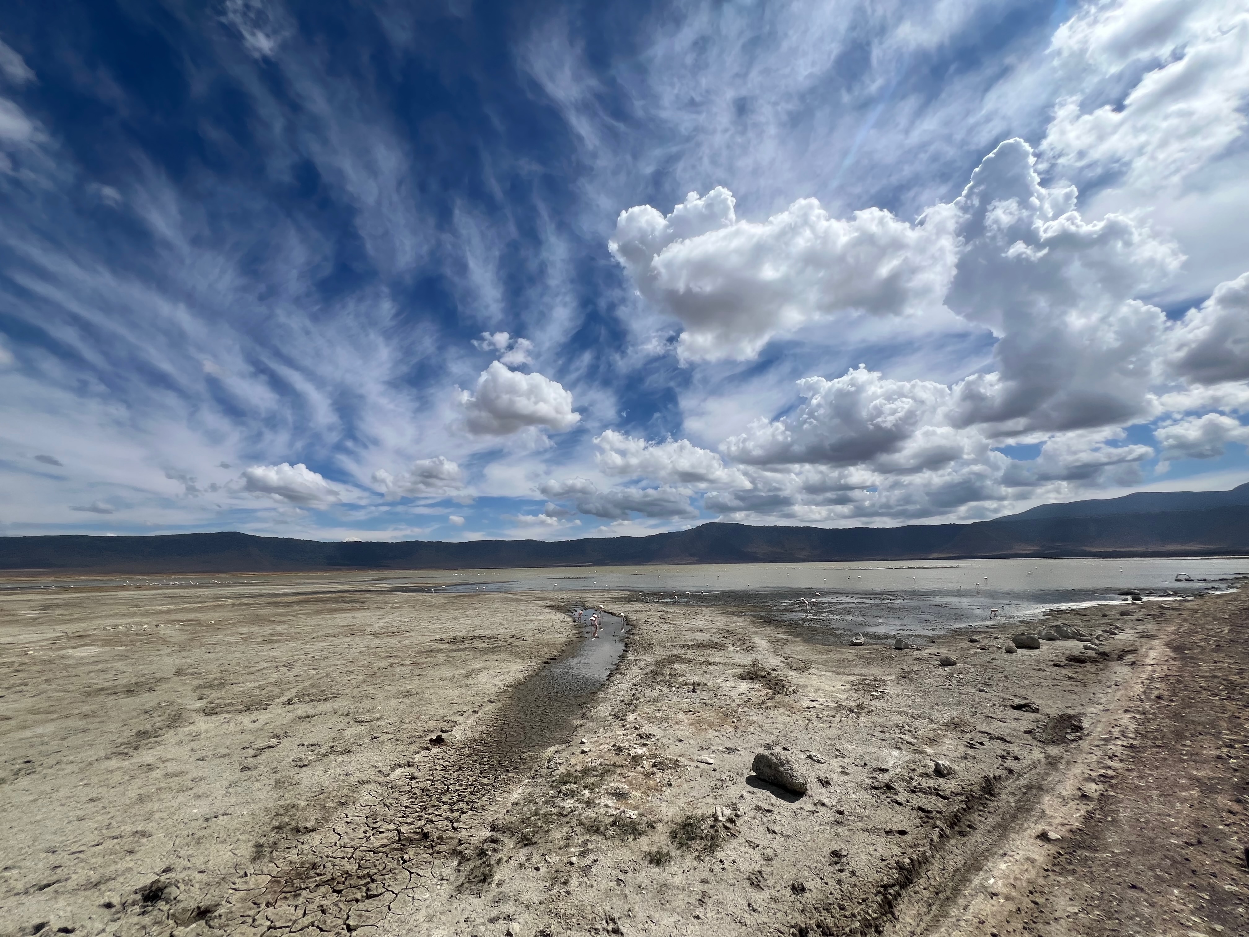 Приватное сафари 4 дня для двоих или семьи: Большая пятёрка и топ-парки Танзании (10/53)