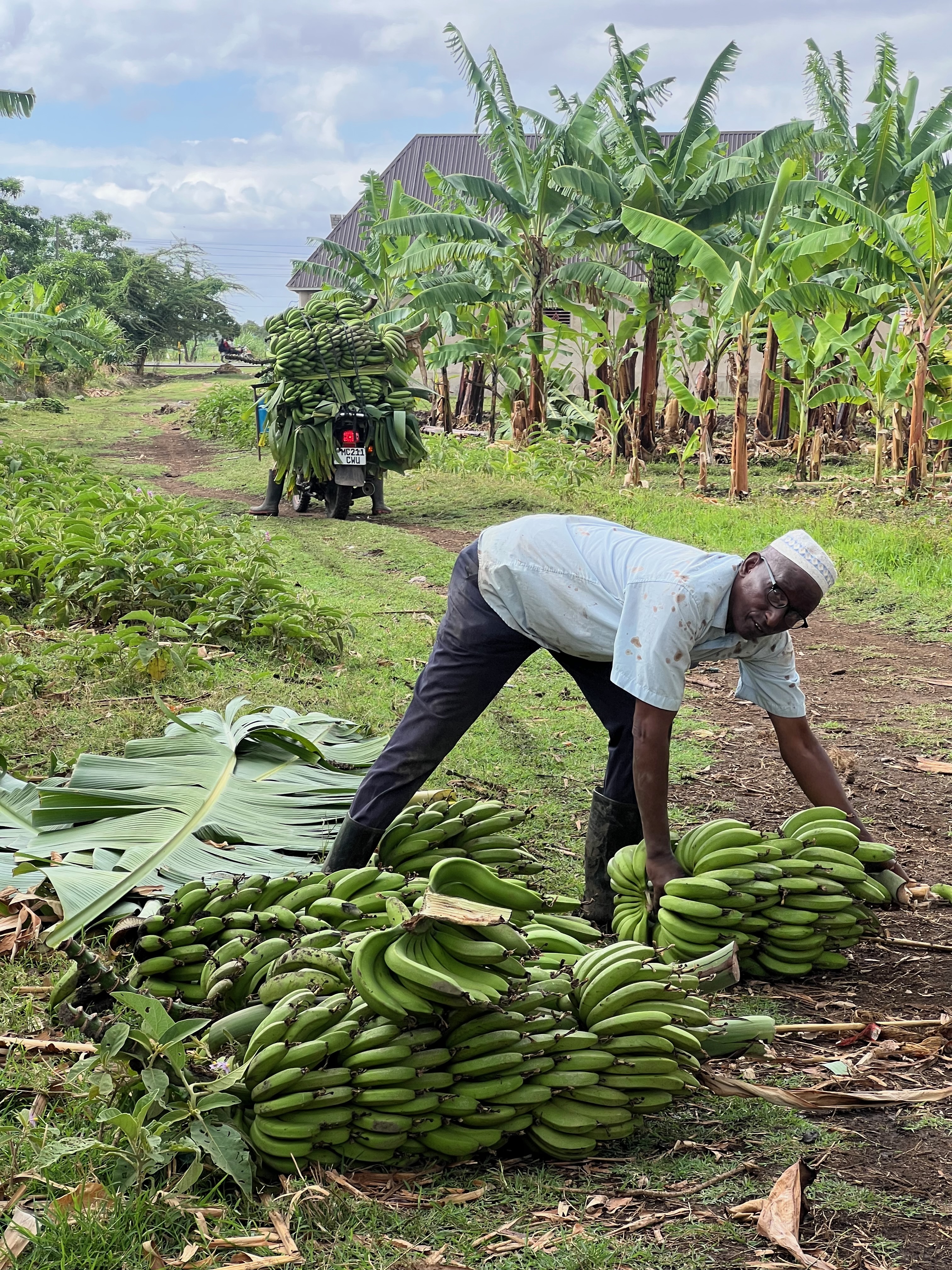 Приватное сафари 4 дня для двоих или семьи: Большая пятёрка и топ-парки Танзании (24/53)