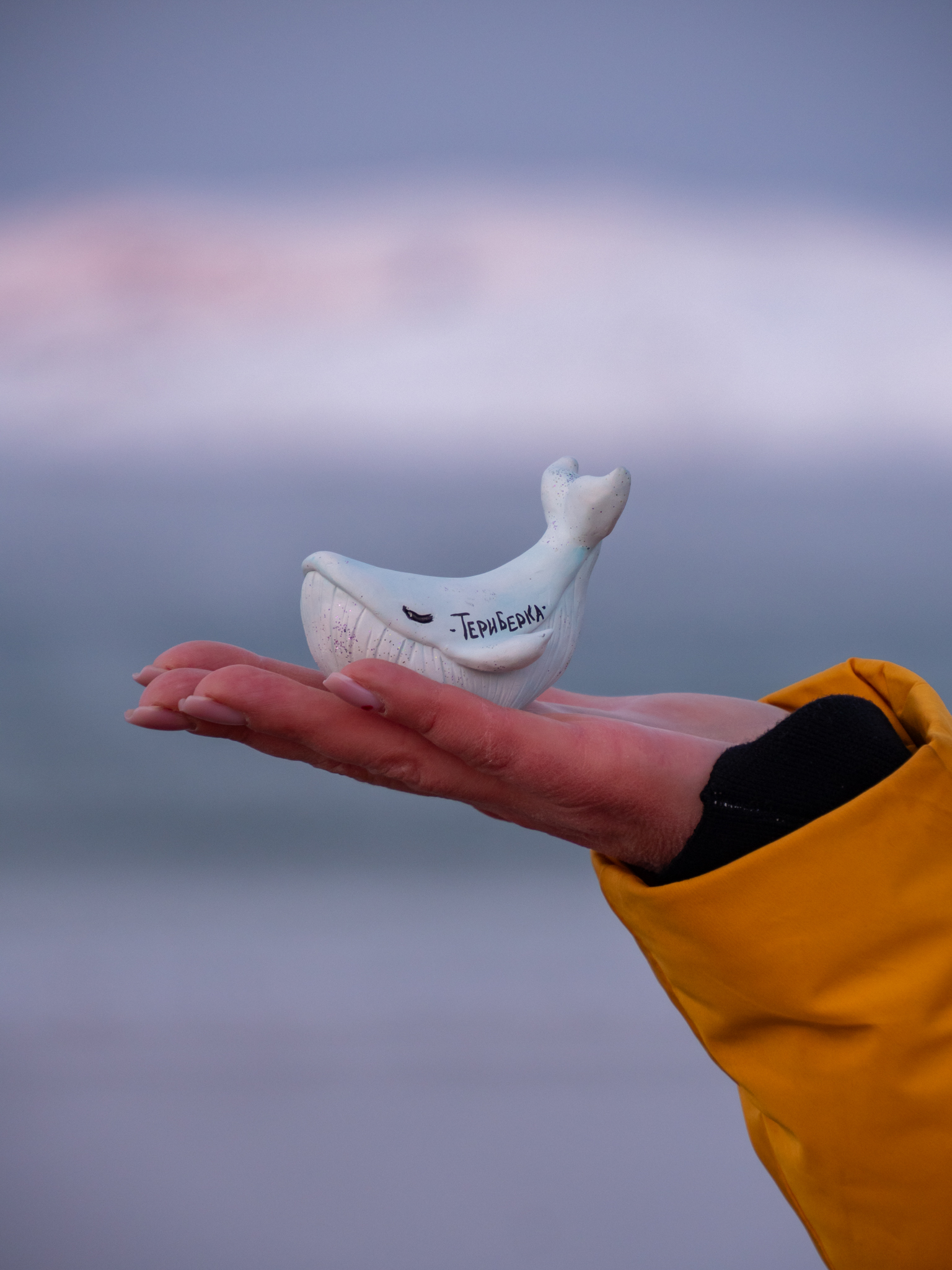 Индивидуальная фотосессия-экскурсия в Териберке (153/238)