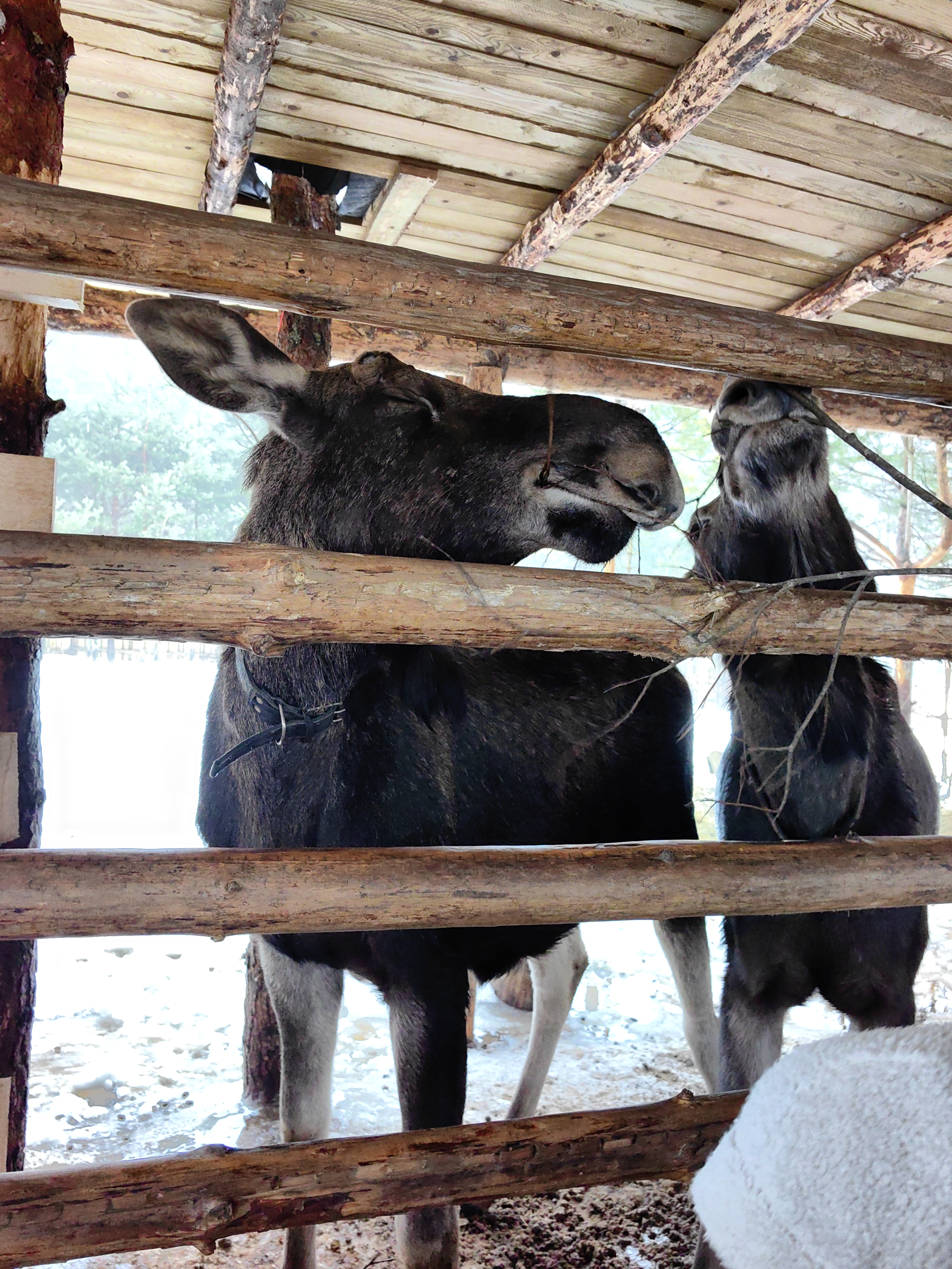 Долина водопадов, хаски и загадочная гора