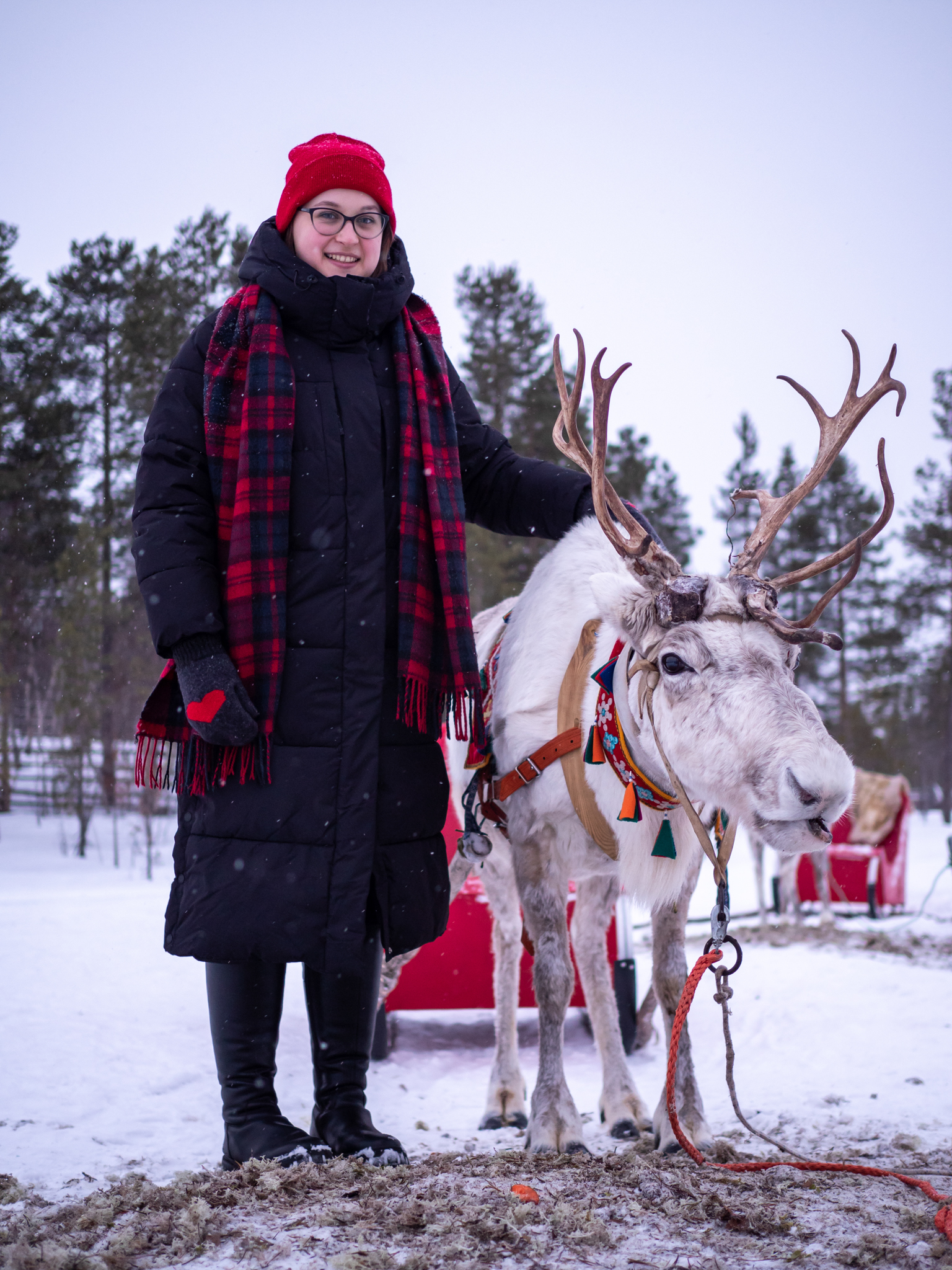 Индивидуальная фотосессия-экскурсия в Териберке (166/238)