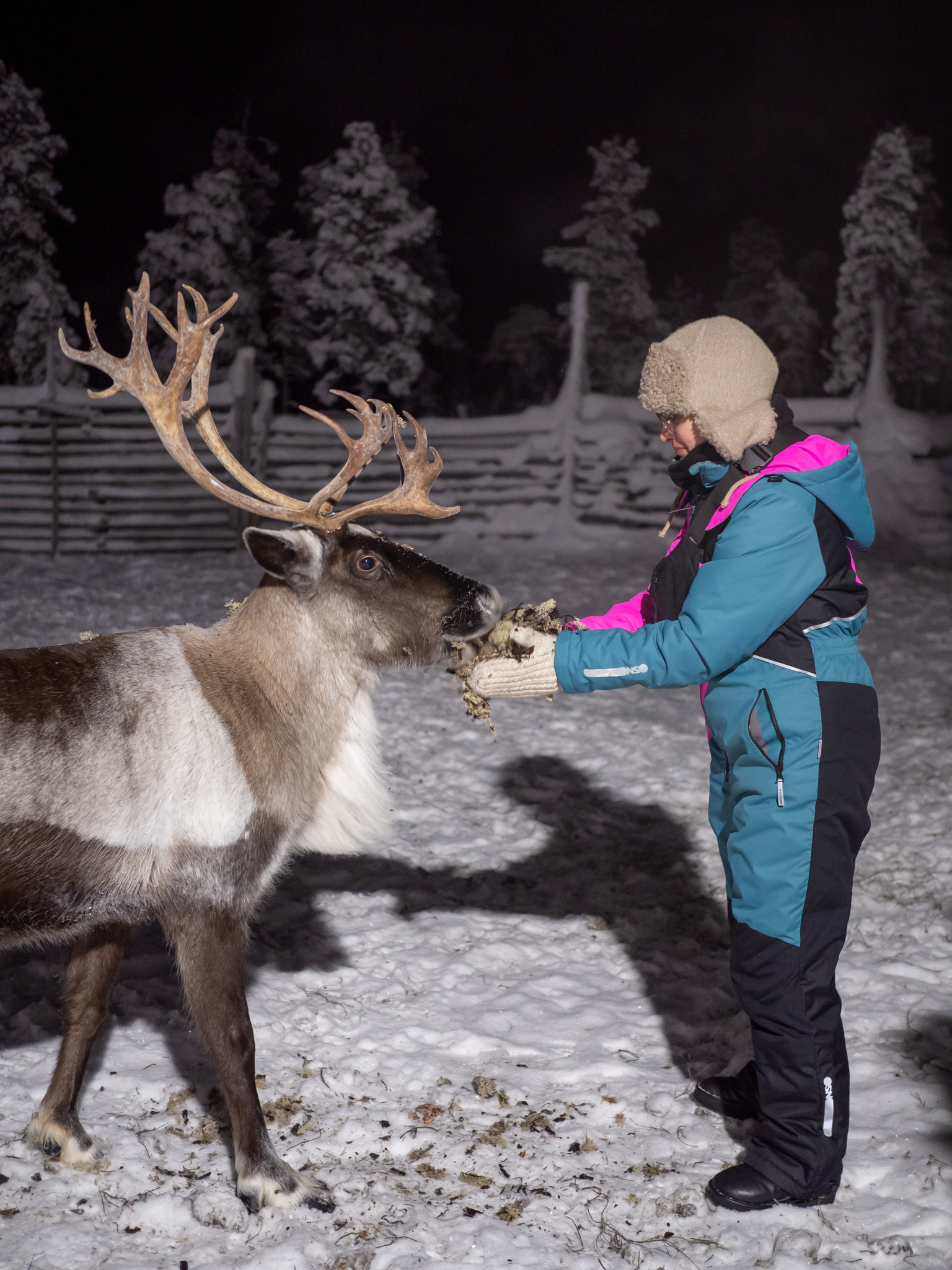 Индивидуальная фотосессия-экскурсия в Териберке (91/238)