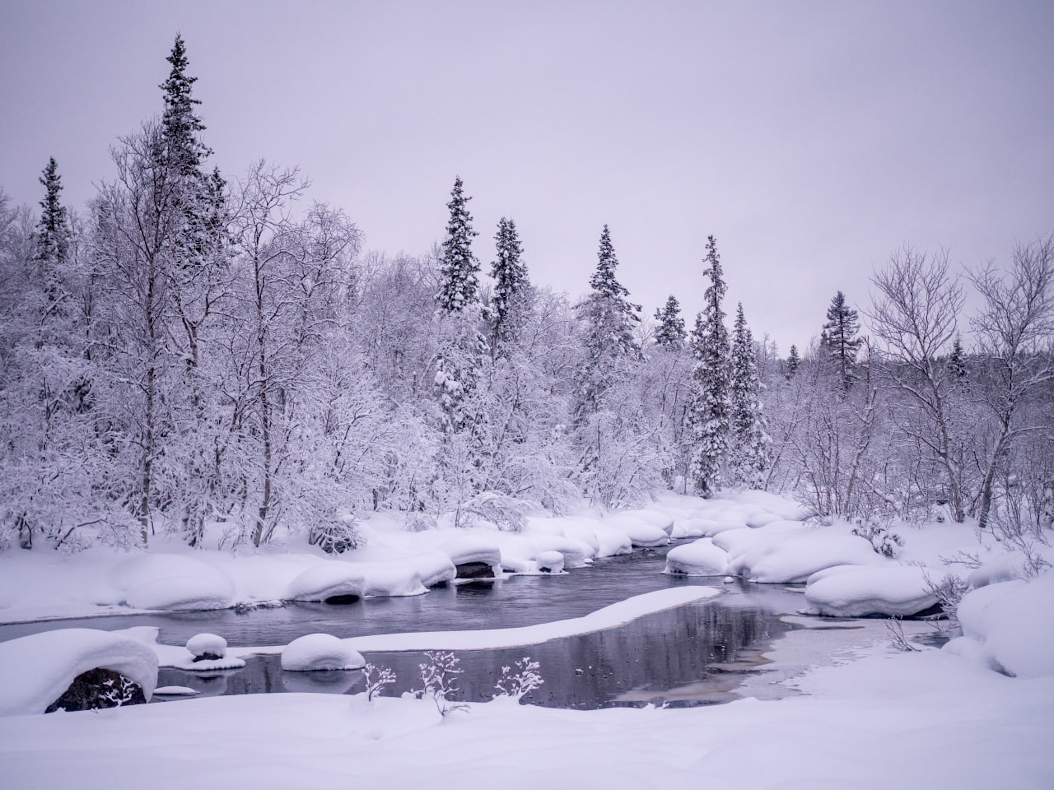 Индивидуальная фотосессия-экскурсия в Териберке (223/238)